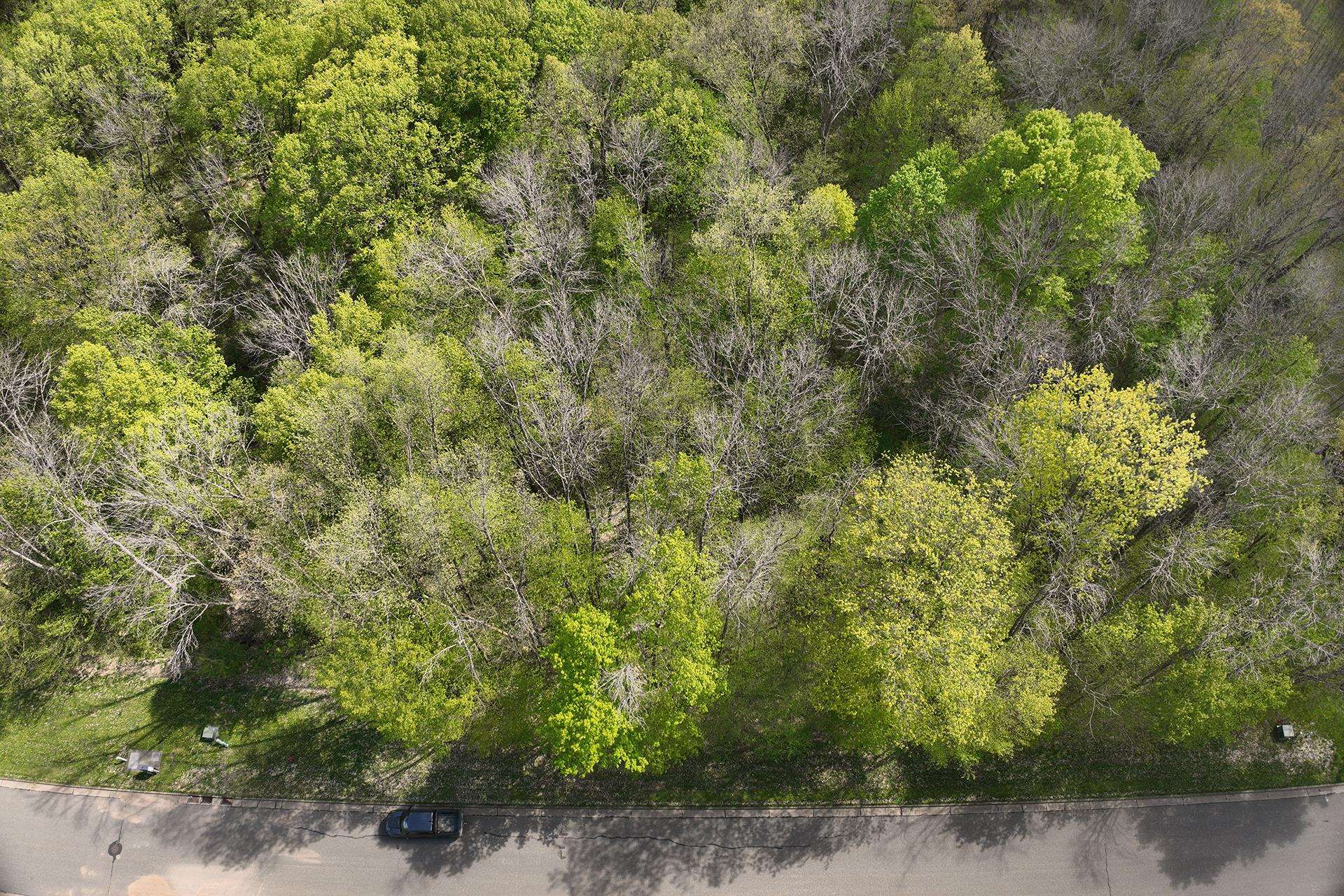 Lot 28 Sand Lane Property Photo 6
