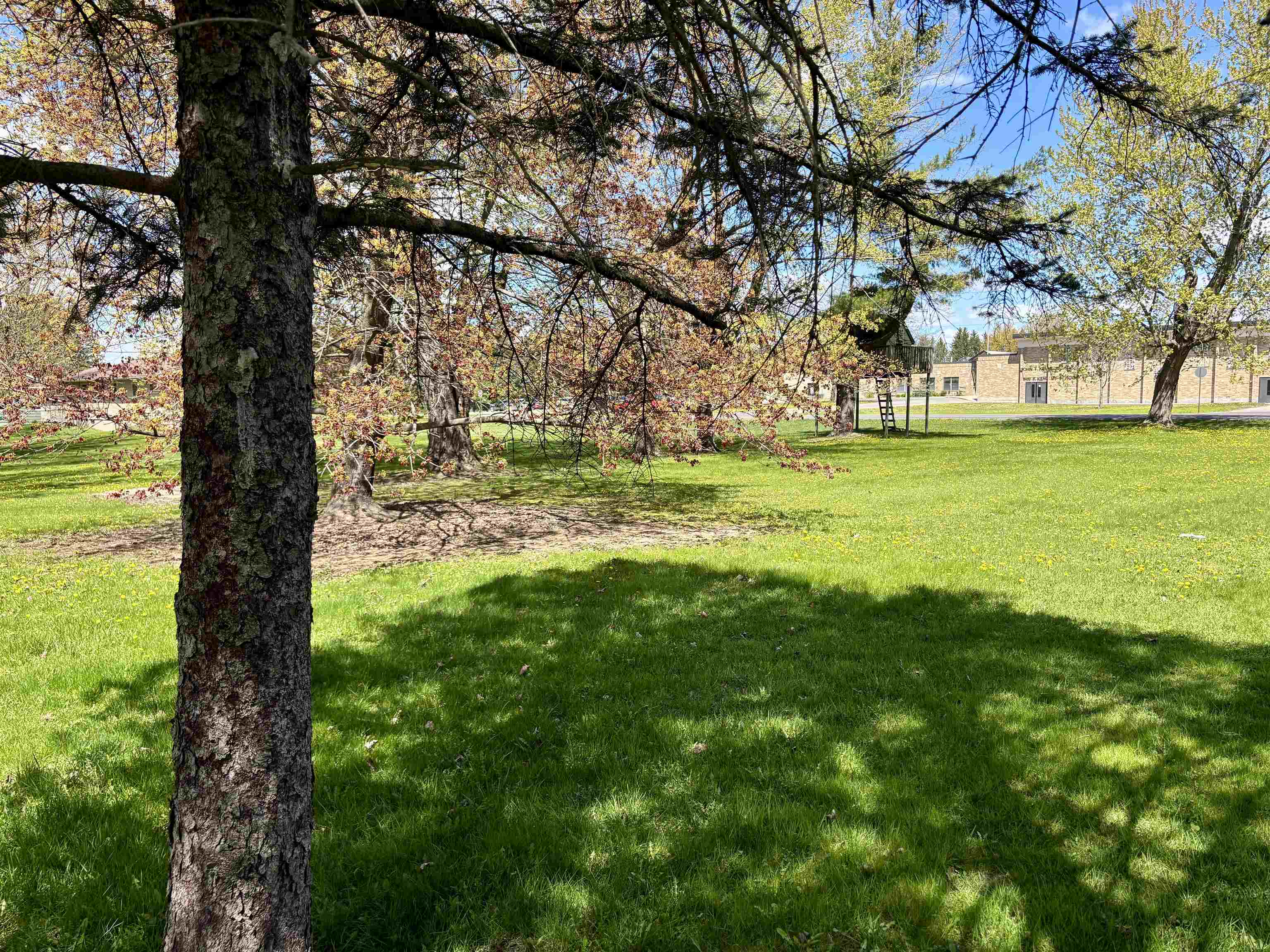Lot 1 W Second Street Property Photo 3