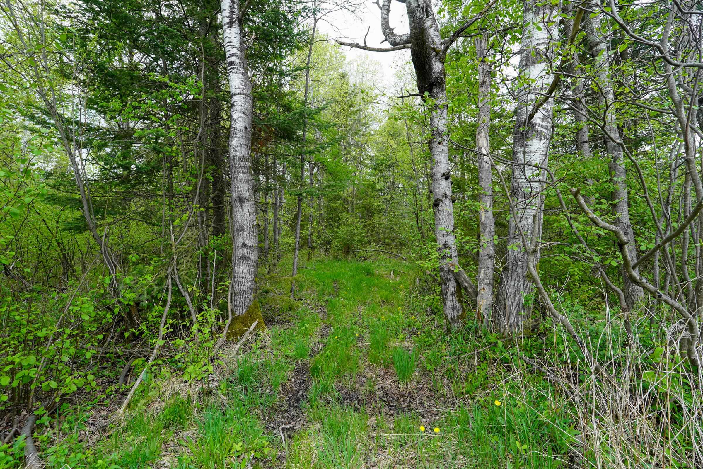 W6103 County Road O Property Photo 26
