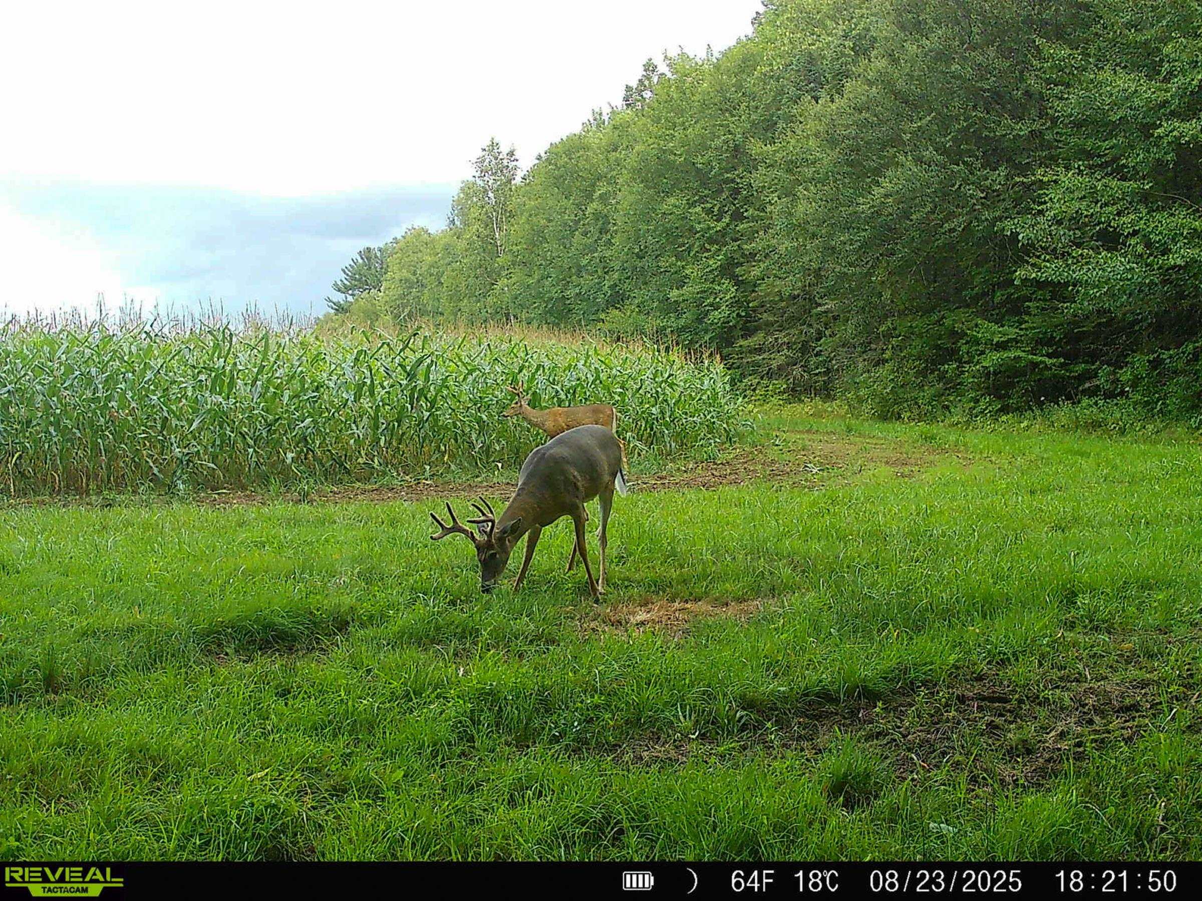 W6103 County Road O Property Photo 28