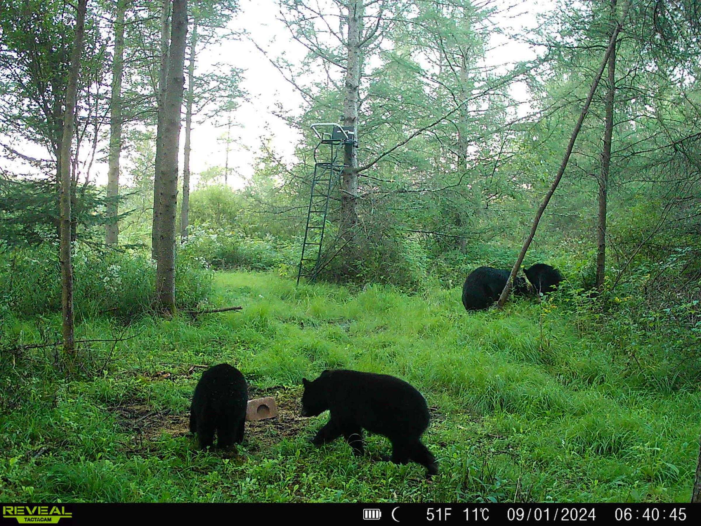 W6103 County Road O Property Photo 29