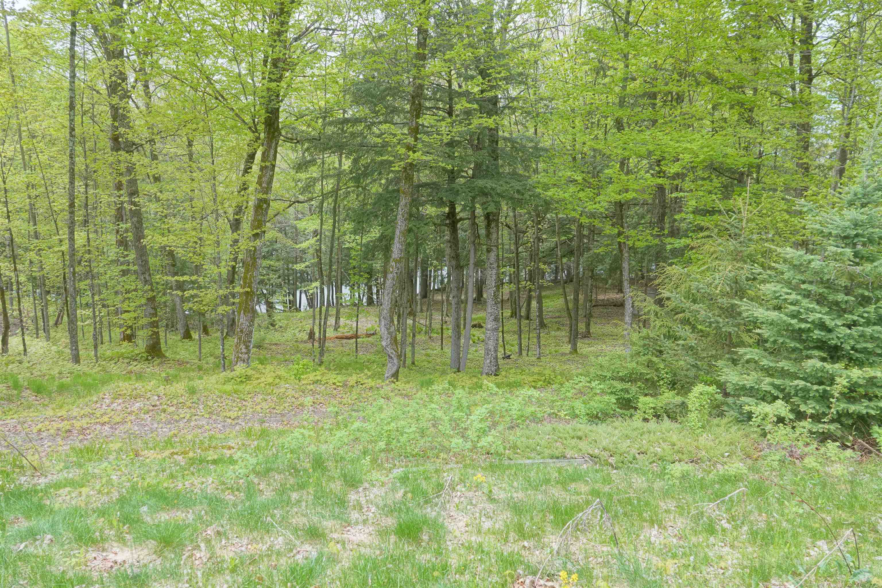 N221 Lamer Drive Property Photo 31