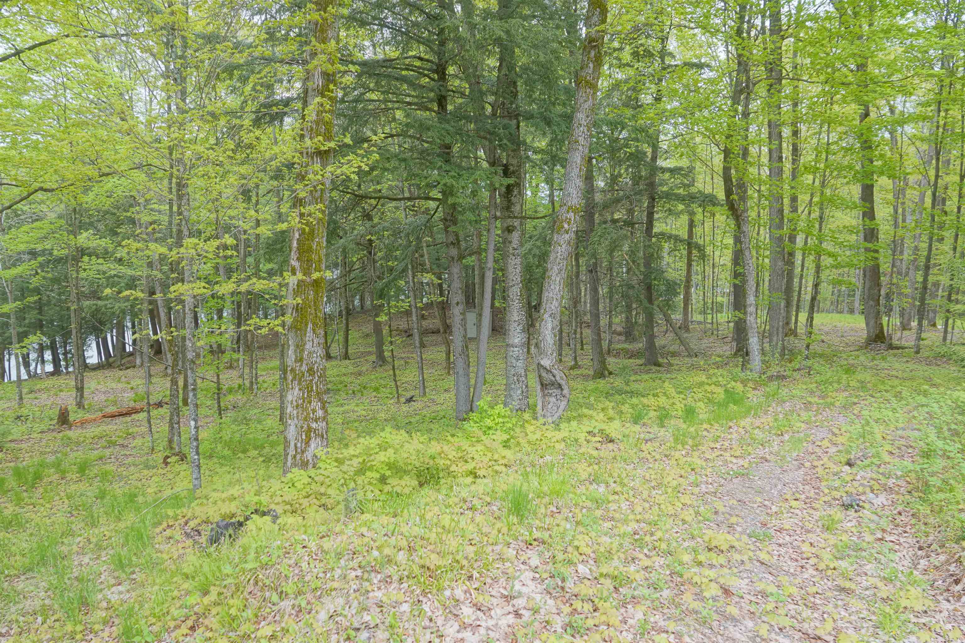 N221 Lamer Drive Property Photo 33