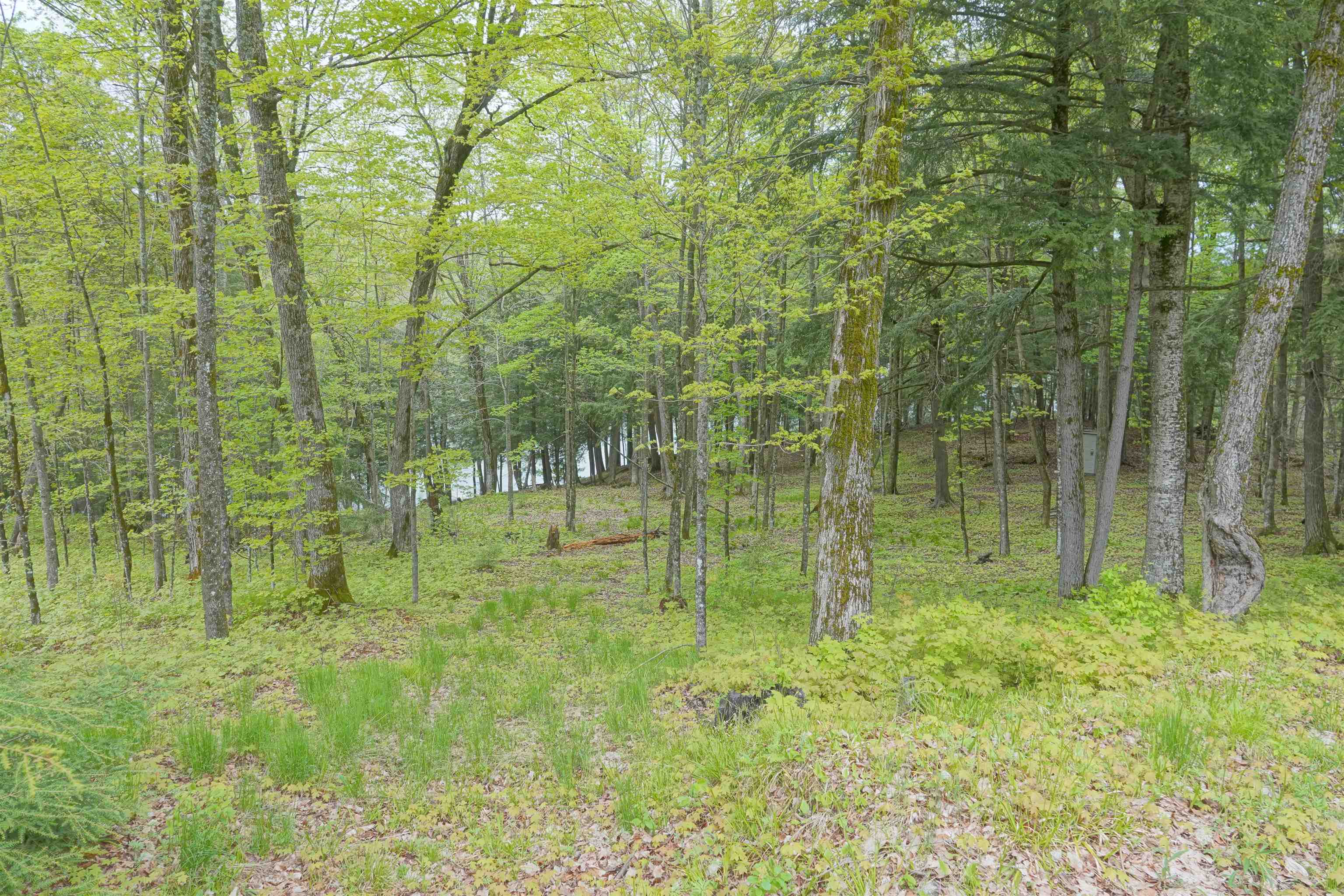 N221 Lamer Drive Property Photo 36