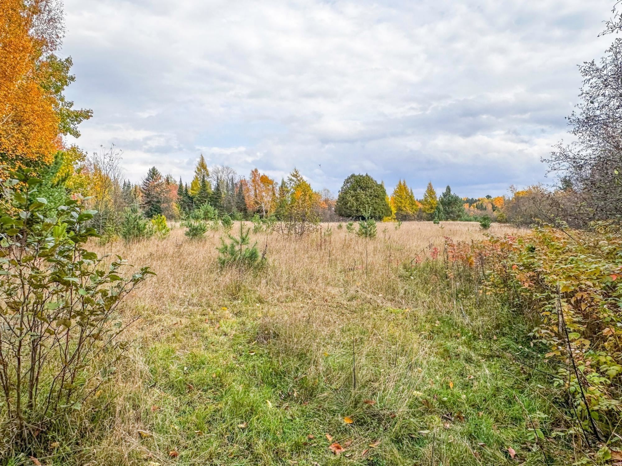 3 Acres On Darlaks Bay Road Property Photo 4