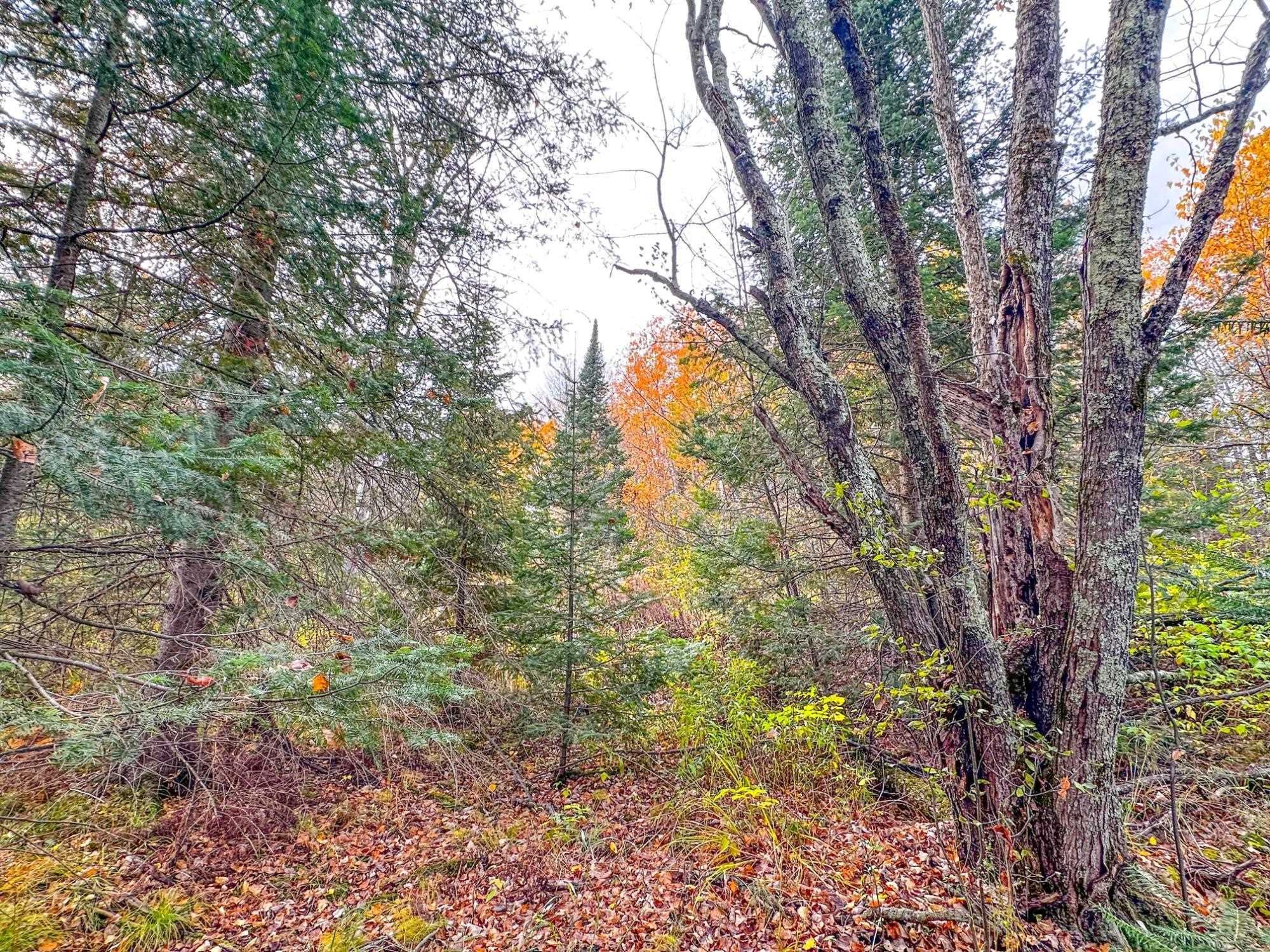 3 Acres On Darlaks Bay Road Property Photo 6