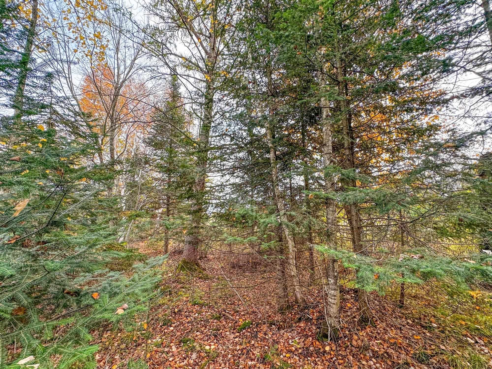 3 Acres On Darlaks Bay Road Property Photo 7