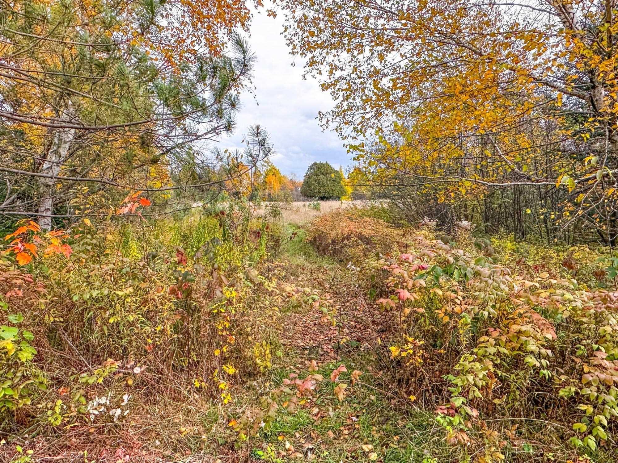 3 Acres On Darlaks Bay Road Property Photo 8