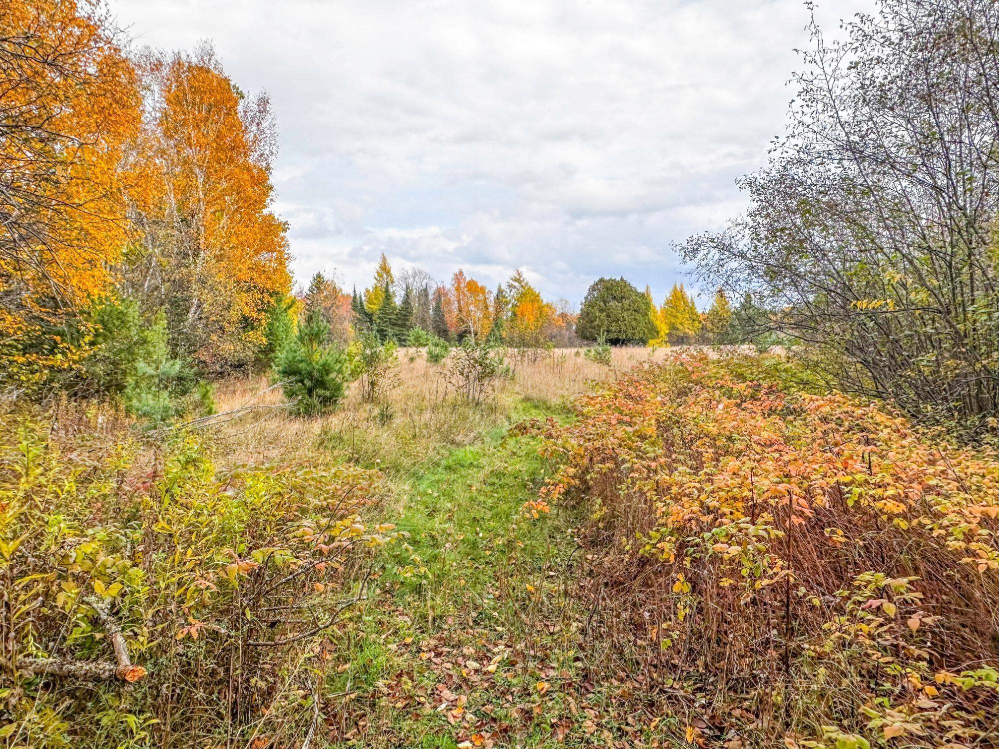 3 Acres On Darlaks Bay Road Property Photo 9