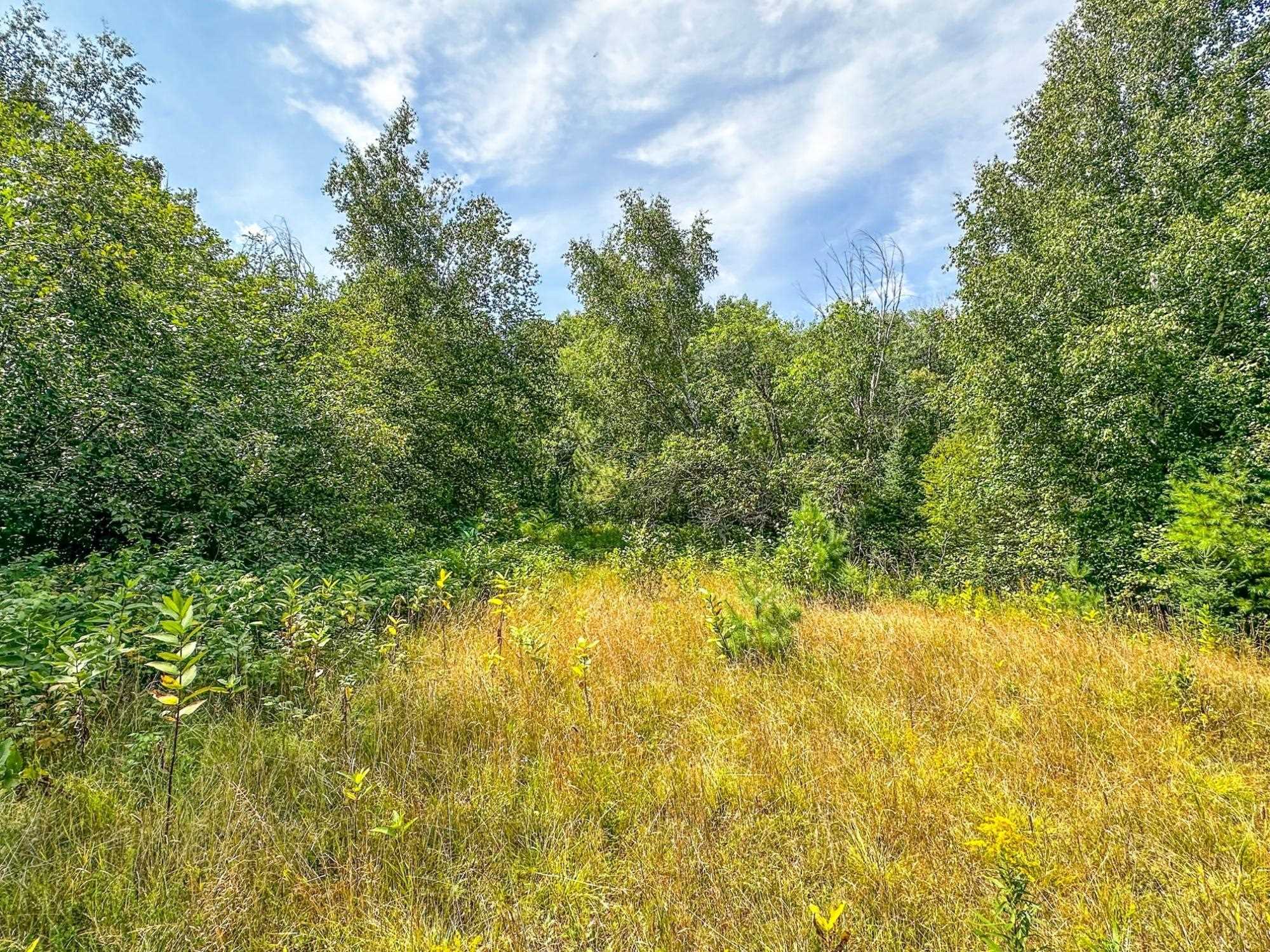 3 Acres On Darlaks Bay Road Property Photo 13
