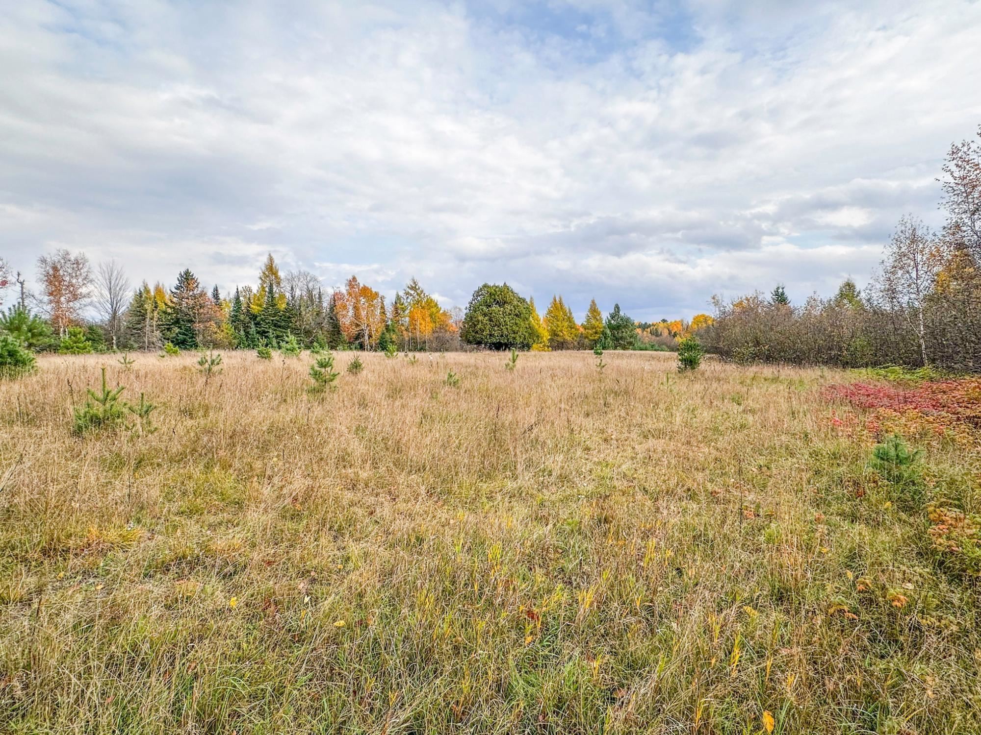 3 Acres On Darlaks Bay Road Property Photo 14