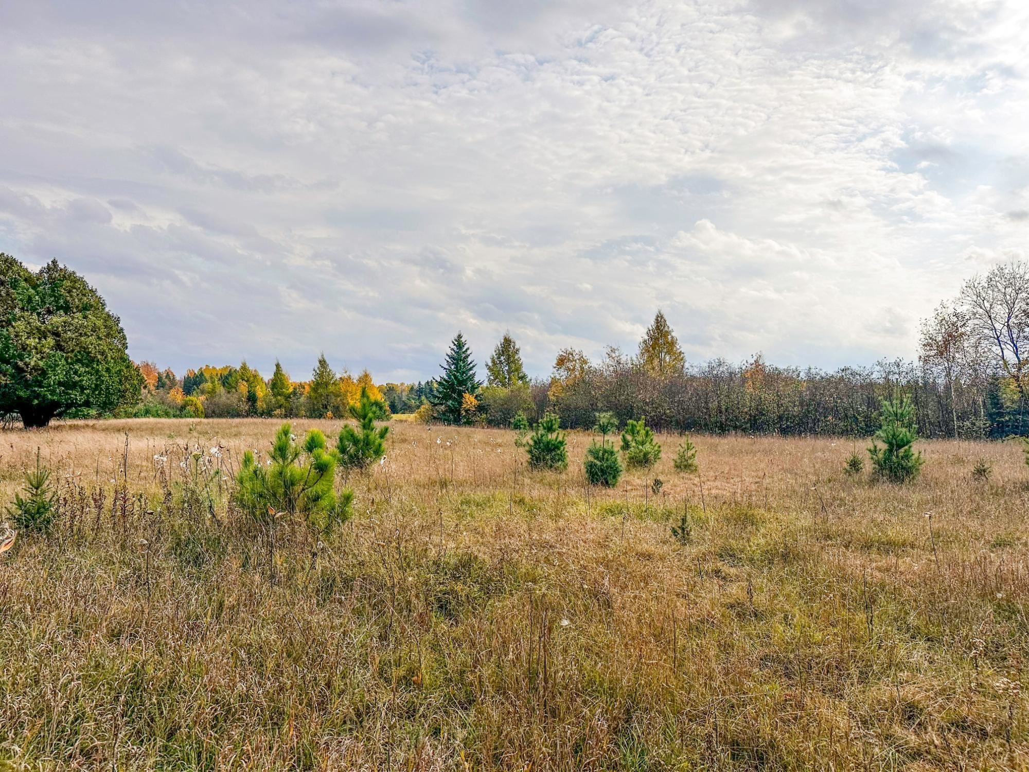 3 Acres On Darlaks Bay Road Property Photo 15