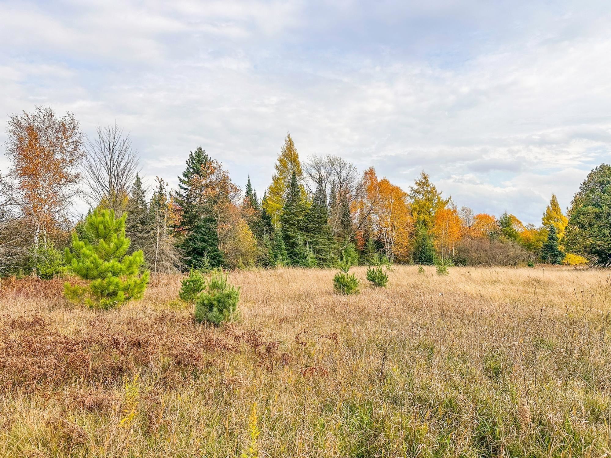 3 Acres On Darlaks Bay Road Property Photo 16