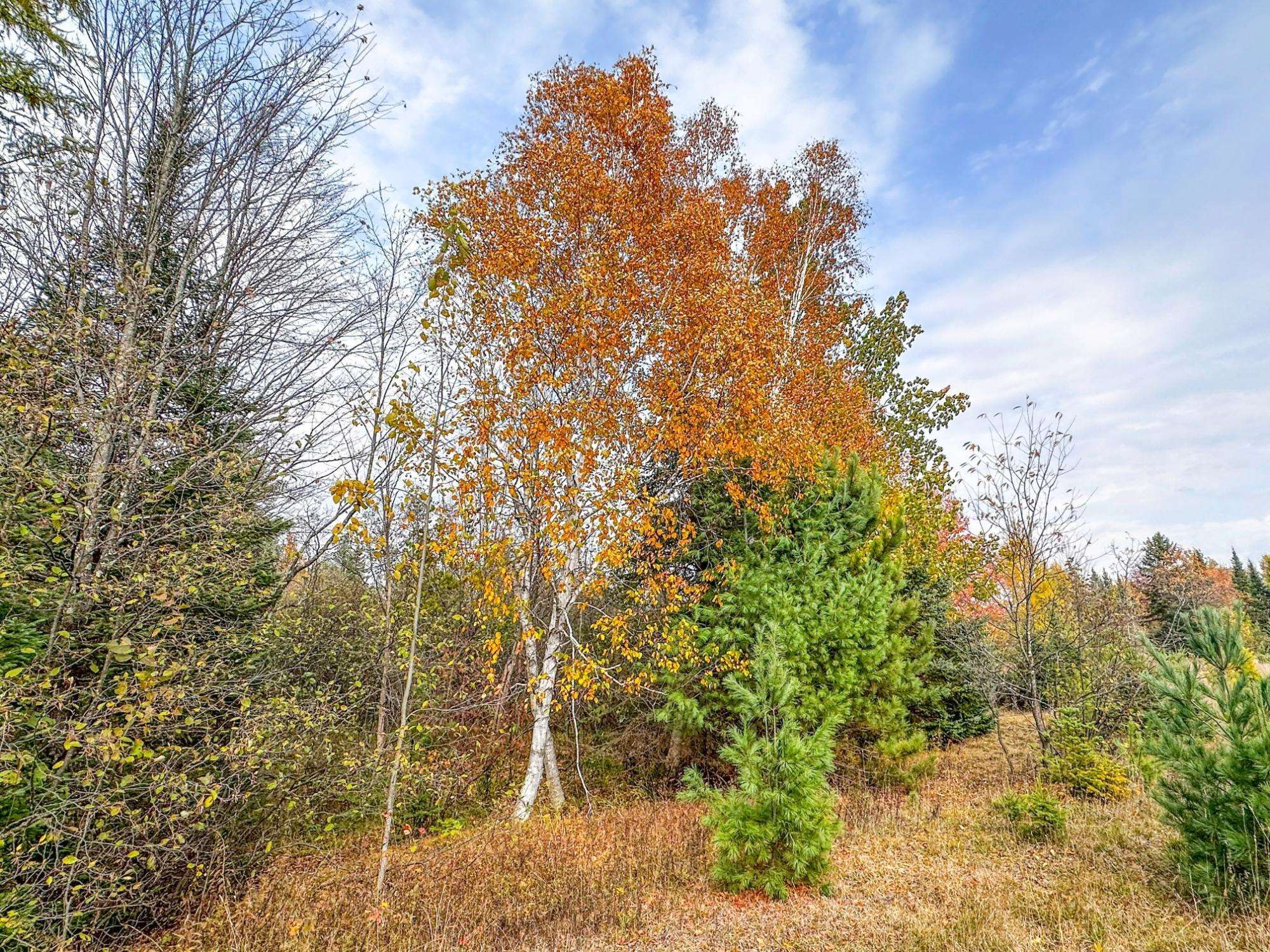 3 Acres On Darlaks Bay Road Property Photo 17