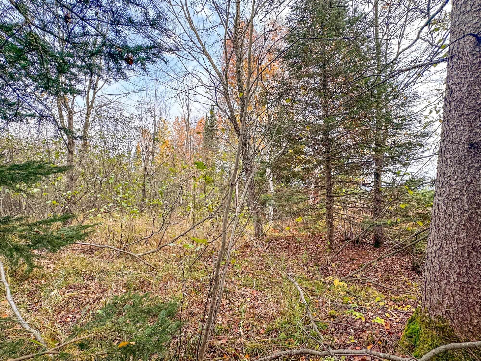 3 Acres On Darlaks Bay Road Property Photo 18
