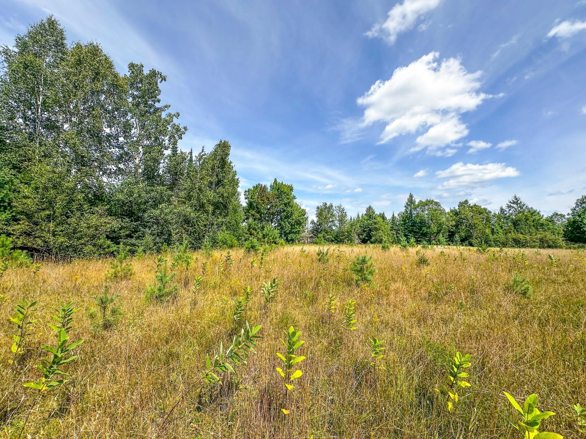 3 Acres On Darlaks Bay Road Property Photo 19