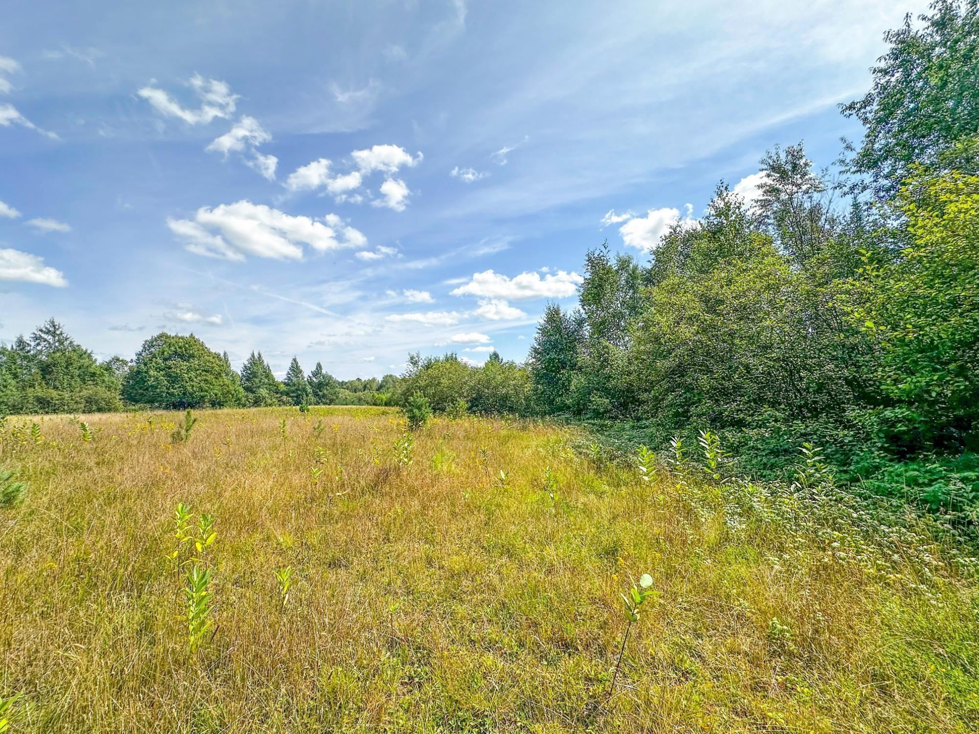 3 Acres On Darlaks Bay Road Property Photo 20