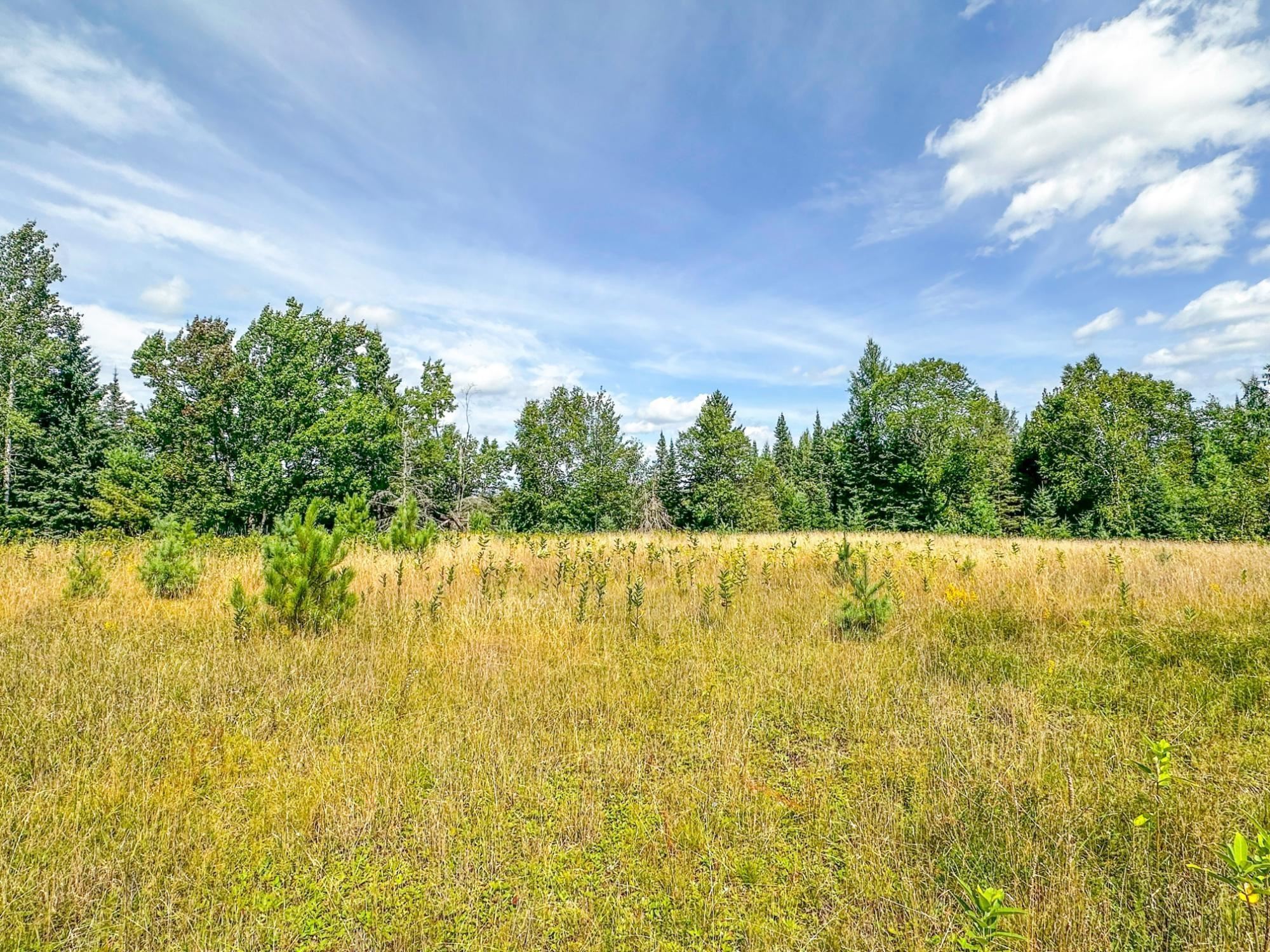3 Acres On Darlaks Bay Road Property Photo 21