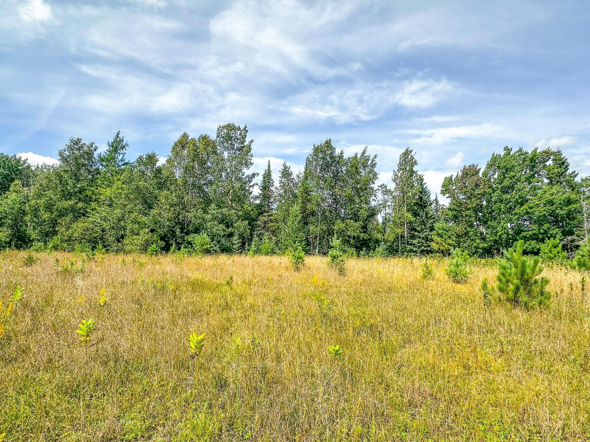 3 Acres On Darlaks Bay Road Property Photo 22