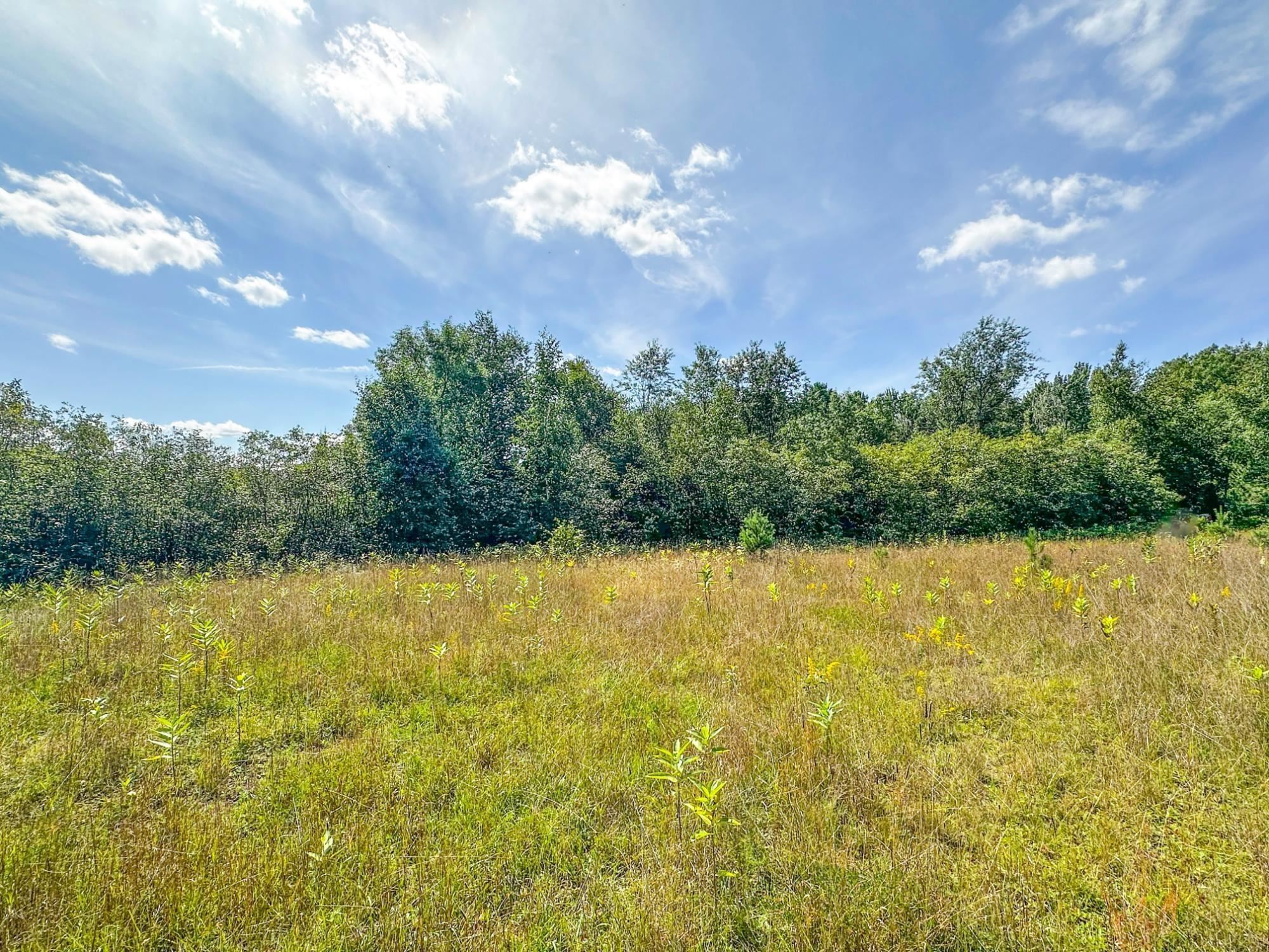 3 Acres On Darlaks Bay Road Property Photo 23