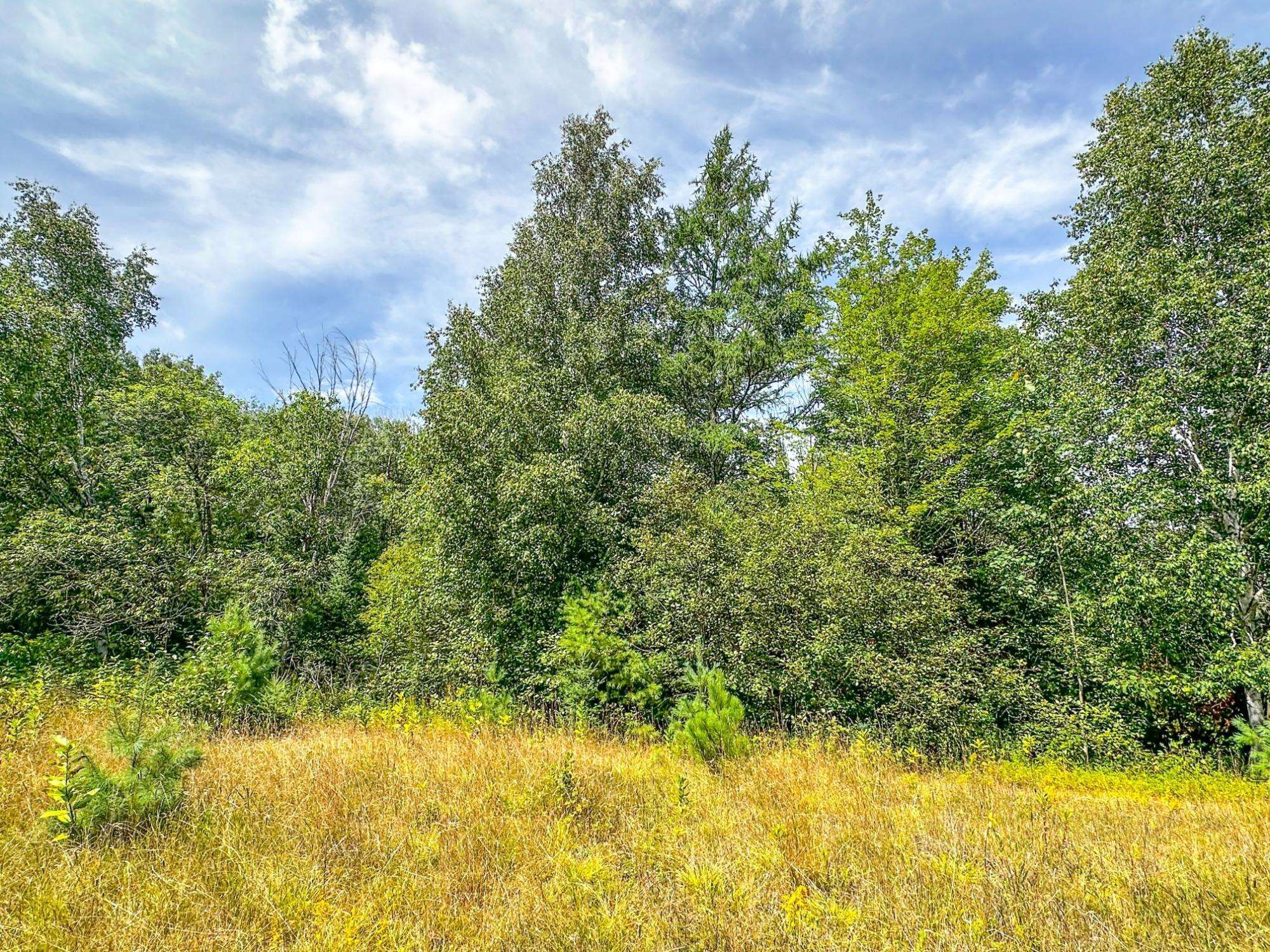 3 Acres On Darlaks Bay Road Property Photo 24