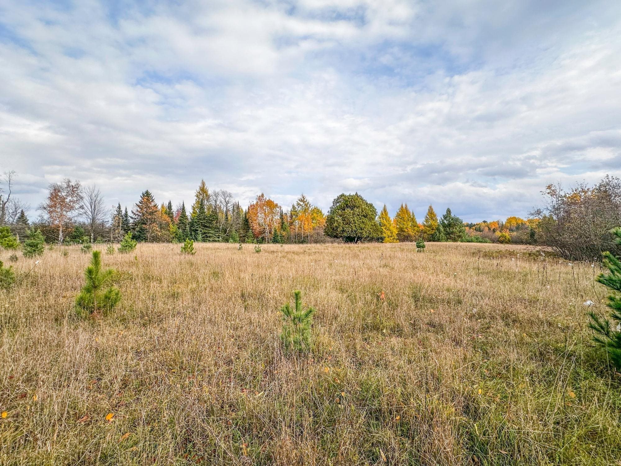 3 Acres On Darlaks Bay Road Property Photo 26