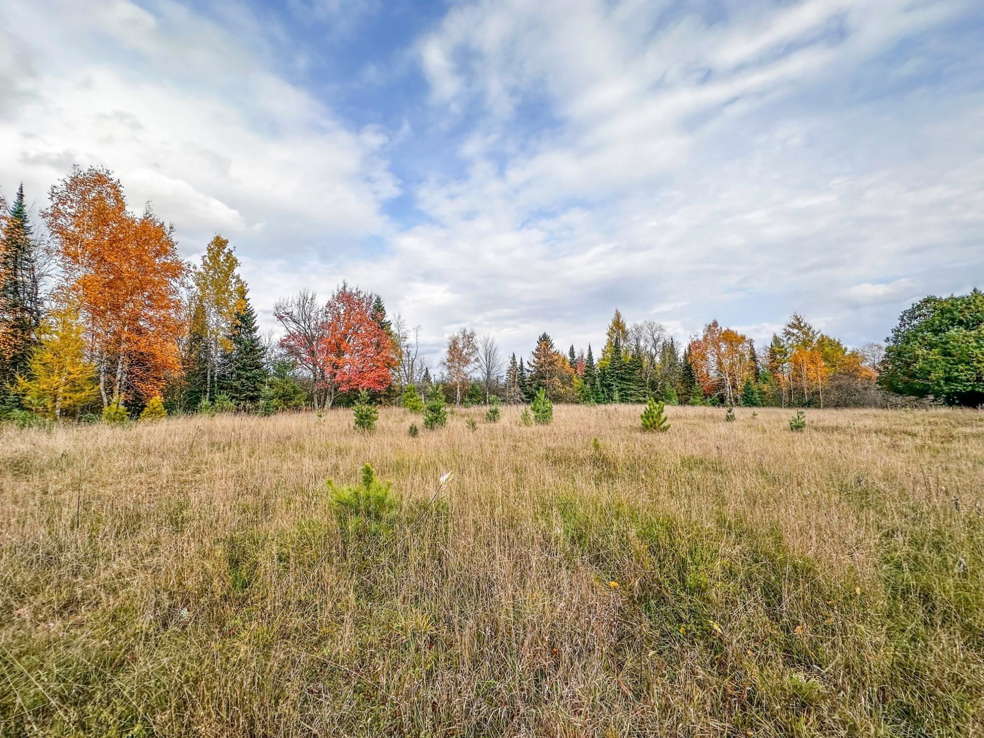 3 Acres On Darlaks Bay Road Property Photo 27