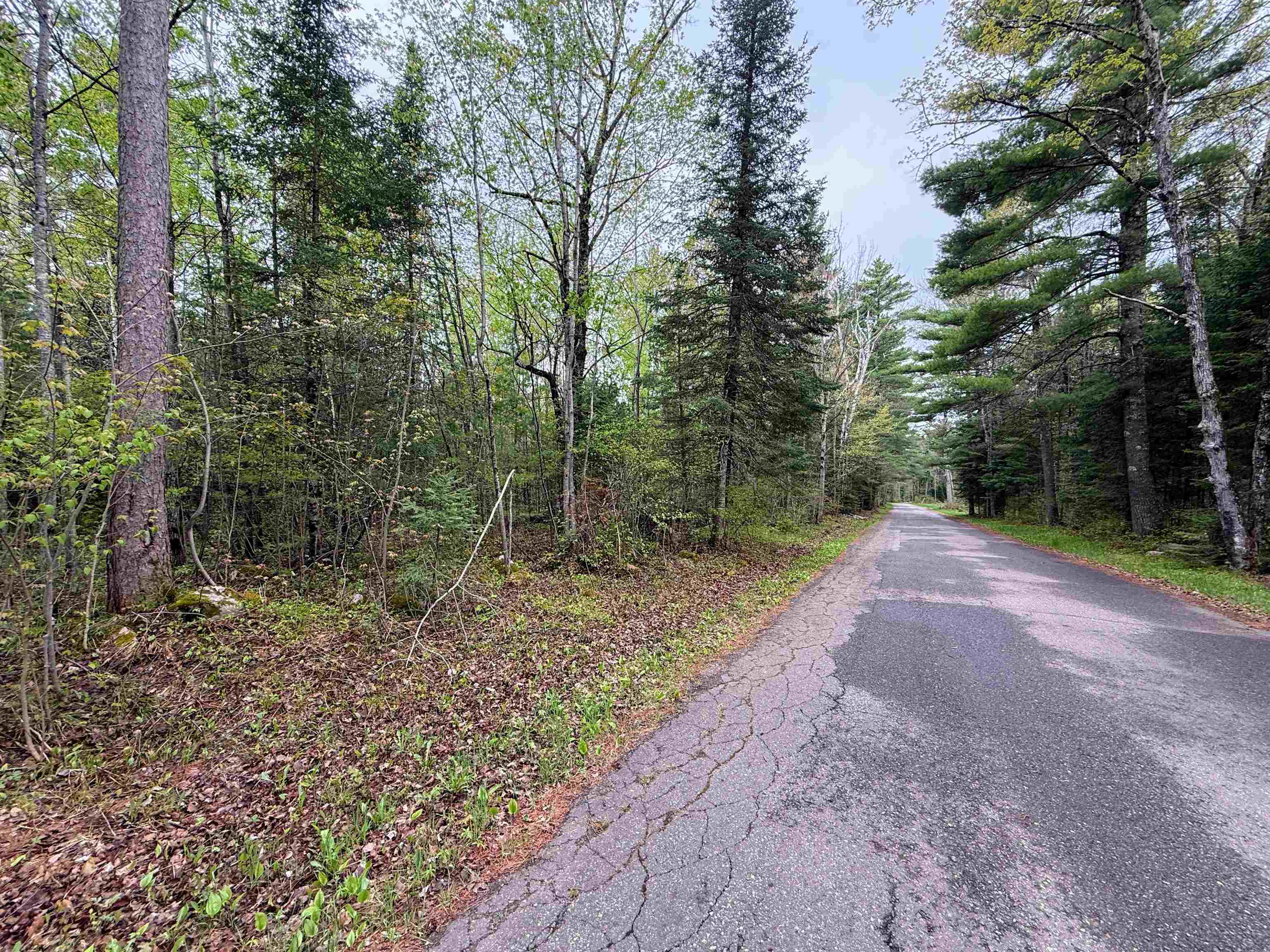 On BEARSKULL ROAD
