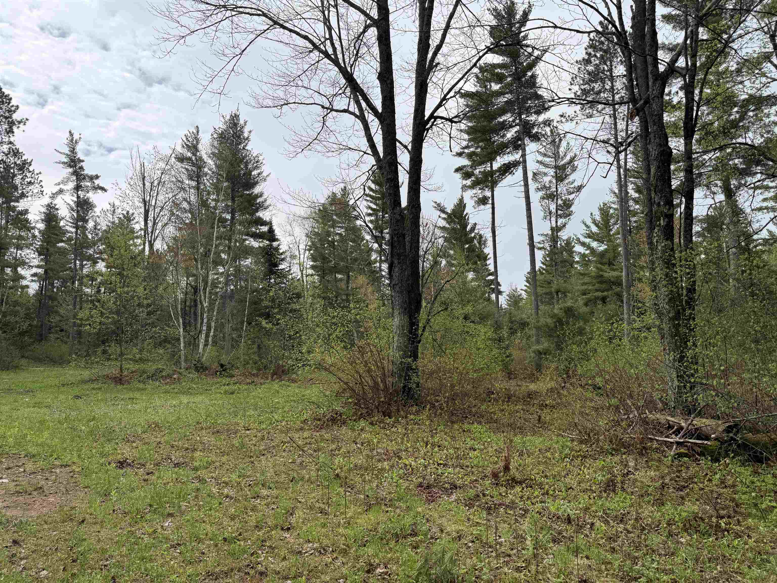 On Bearskull Road Property Photo 3