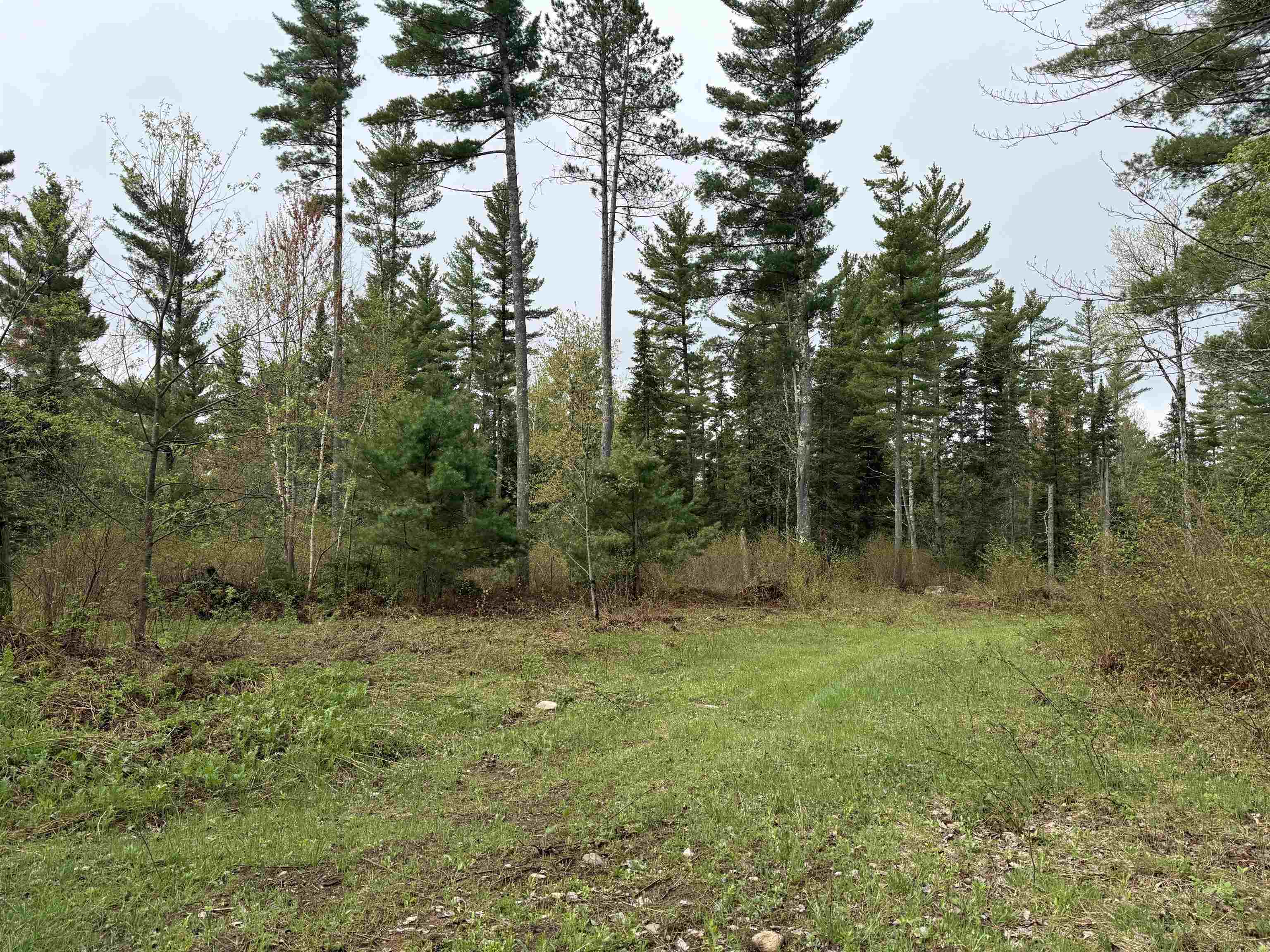 On Bearskull Road Property Photo 4