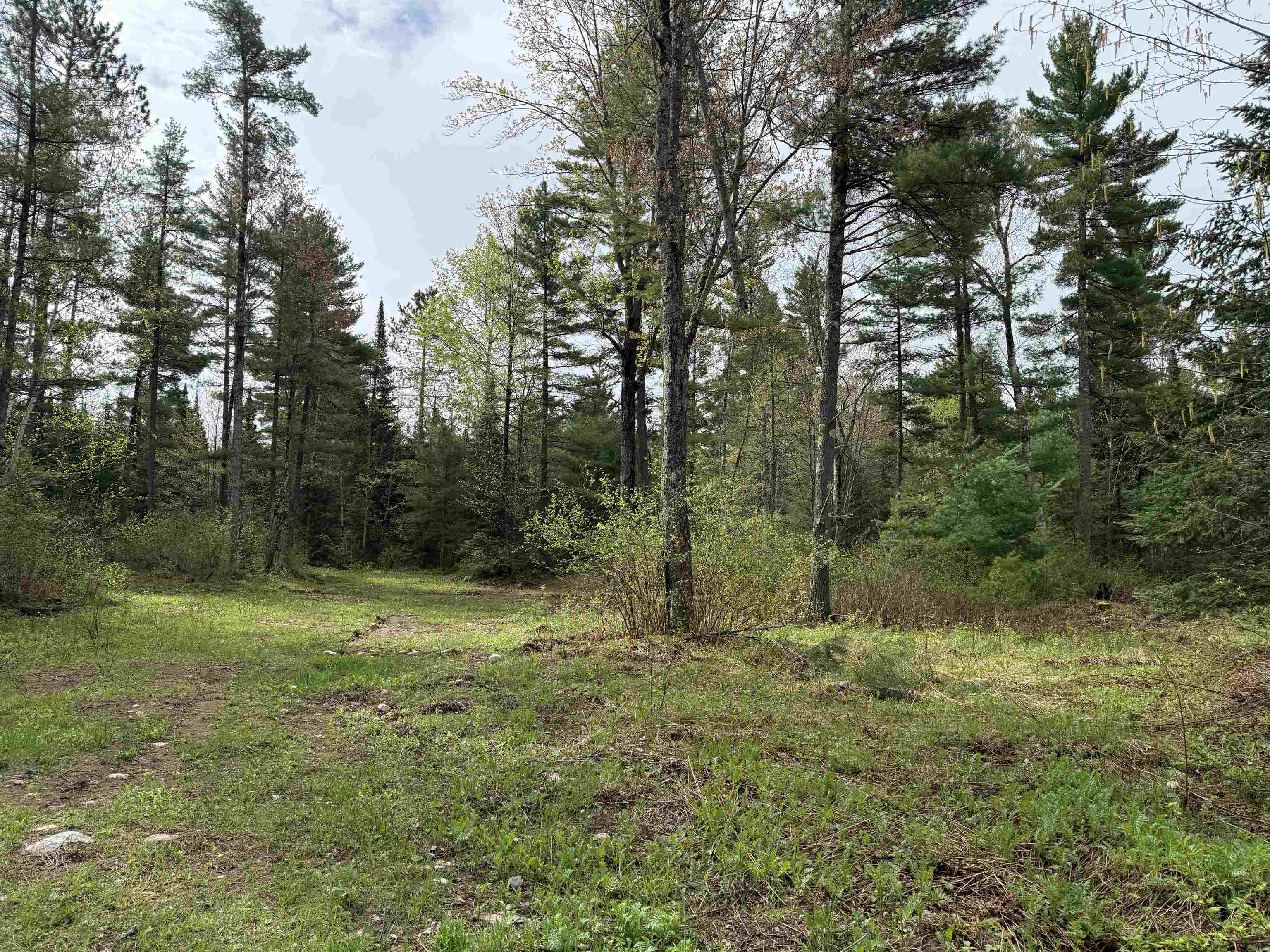 On Bearskull Road Property Photo 5