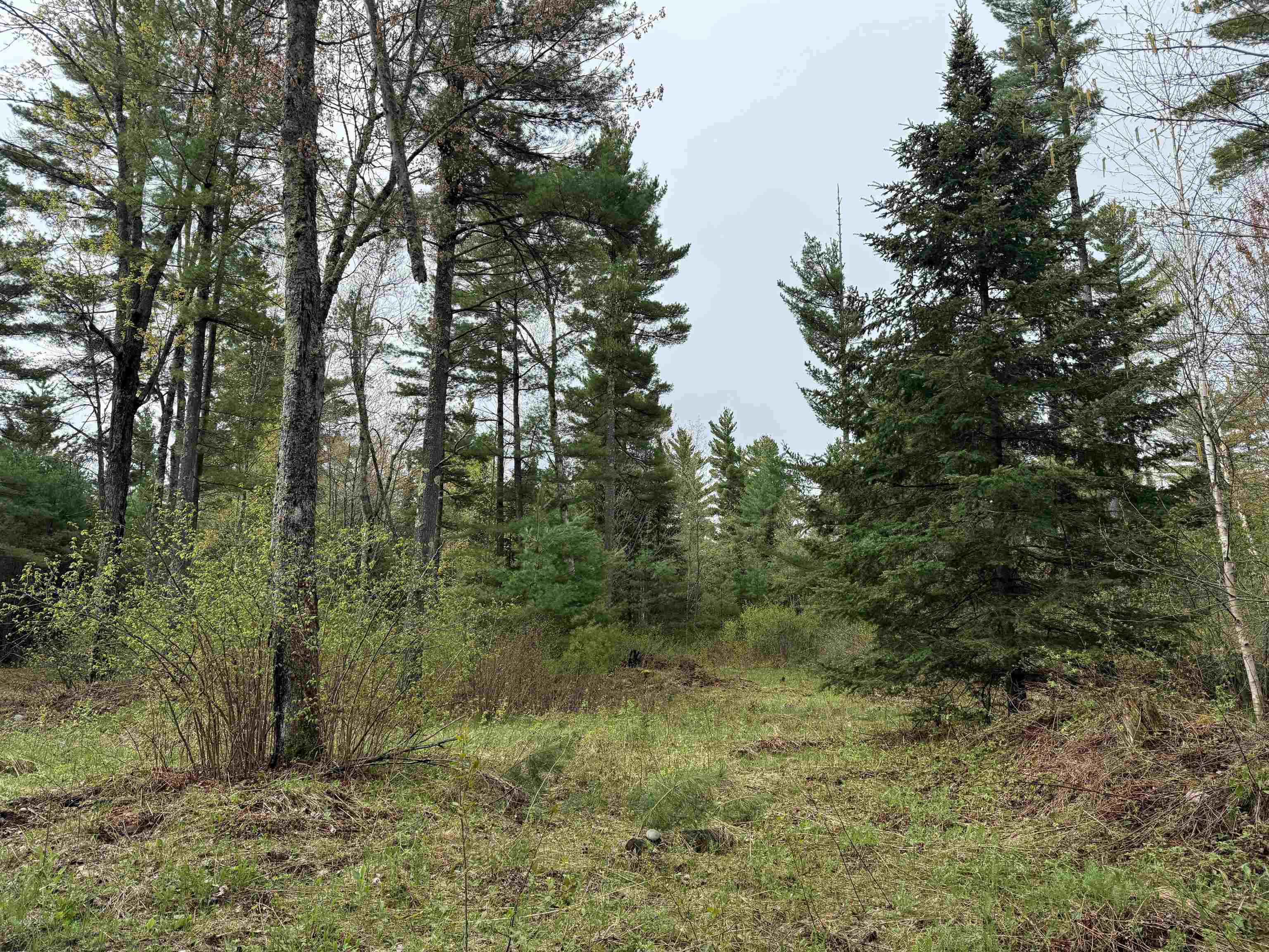 On Bearskull Road Property Photo 6