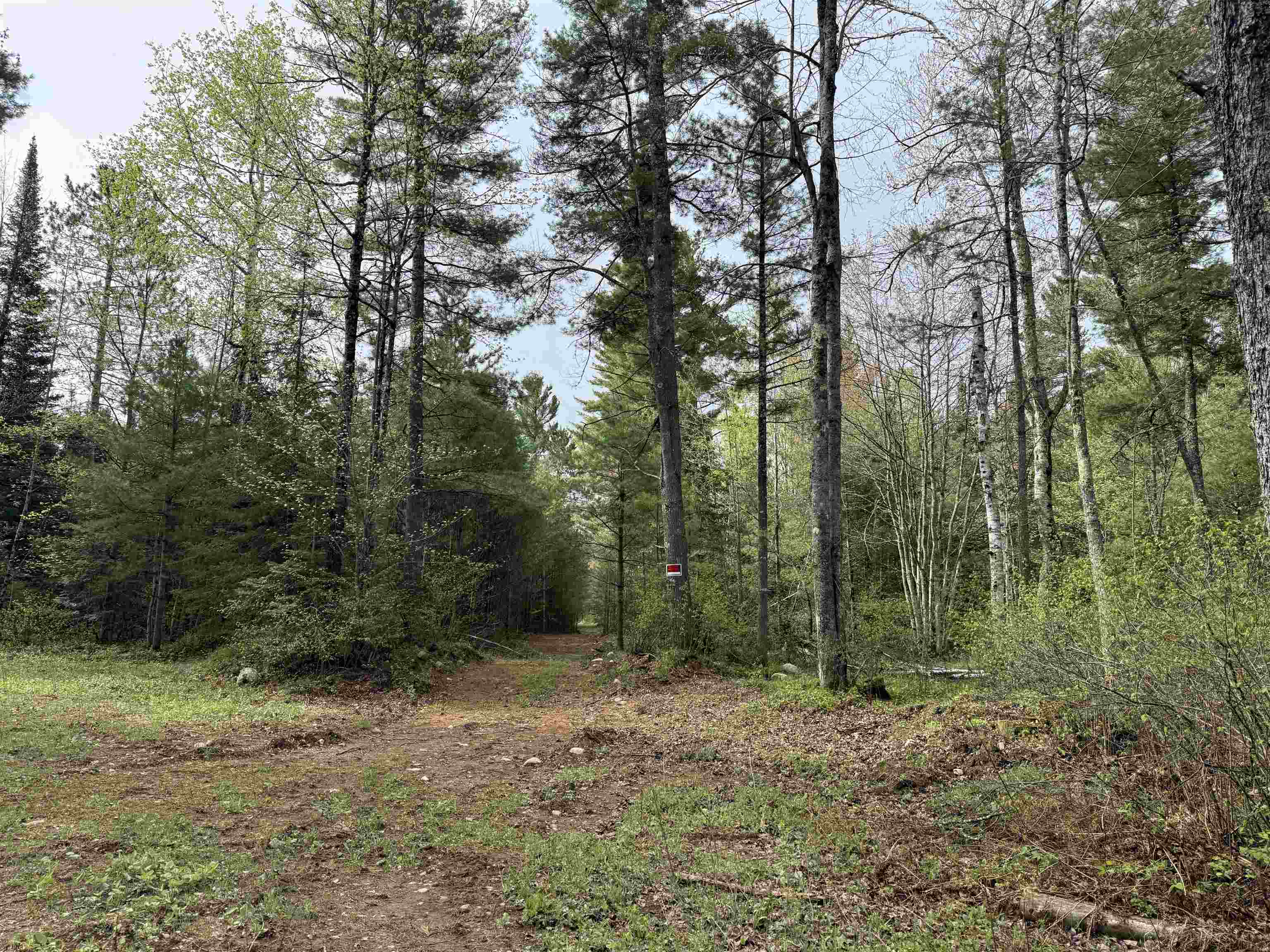 On Bearskull Road Property Photo 7