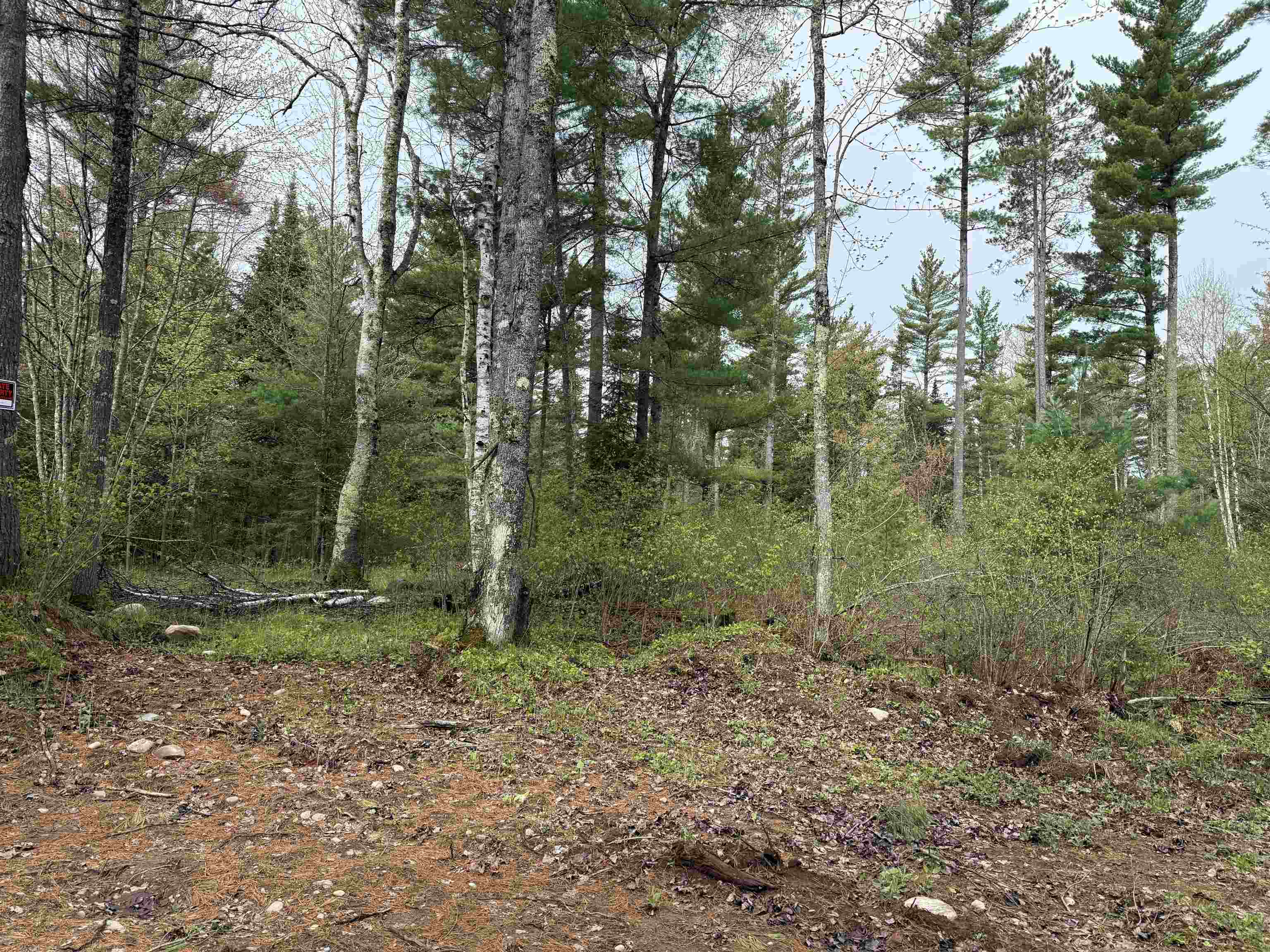 On Bearskull Road Property Photo 8