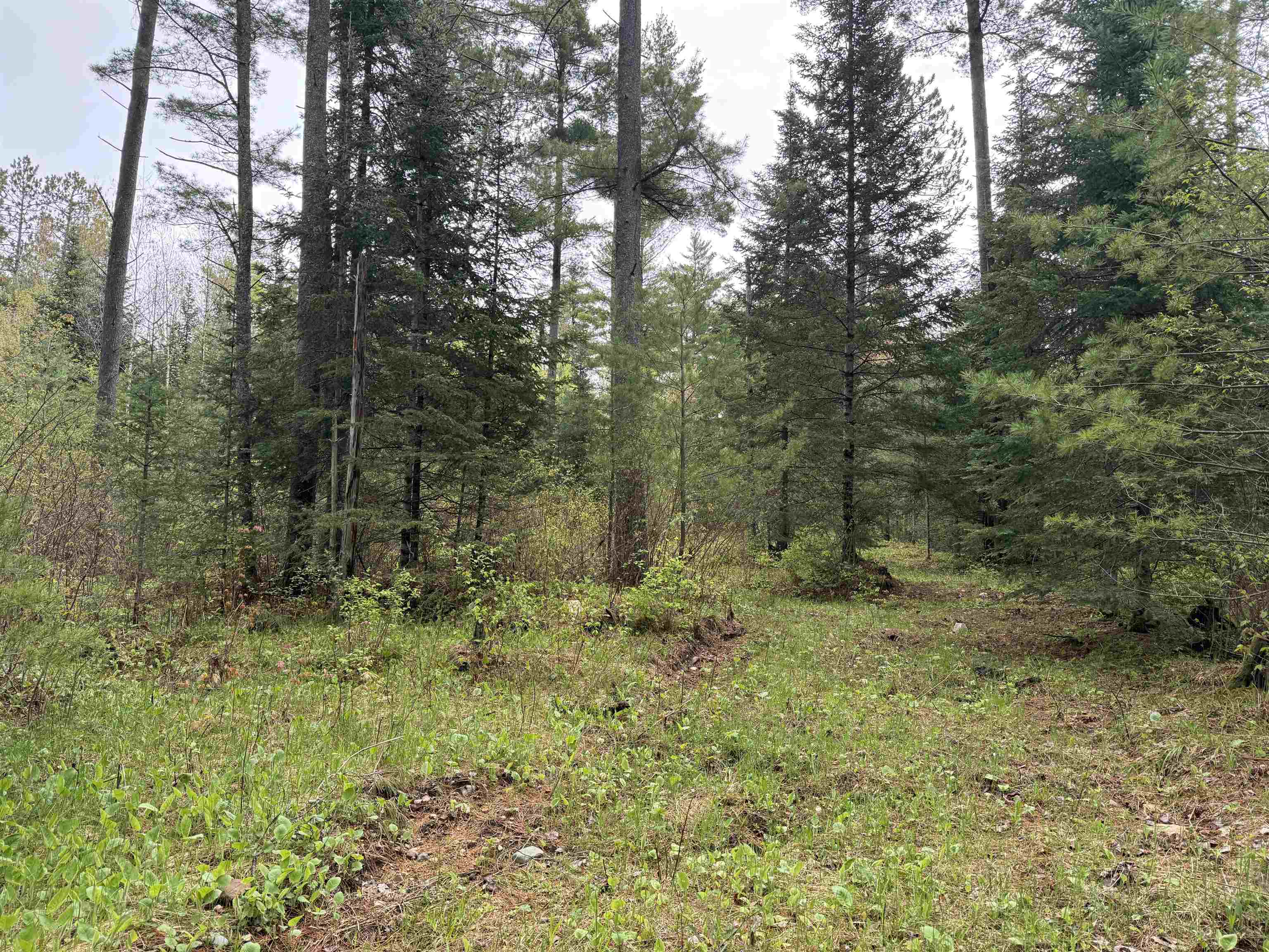On Bearskull Road Property Photo 10