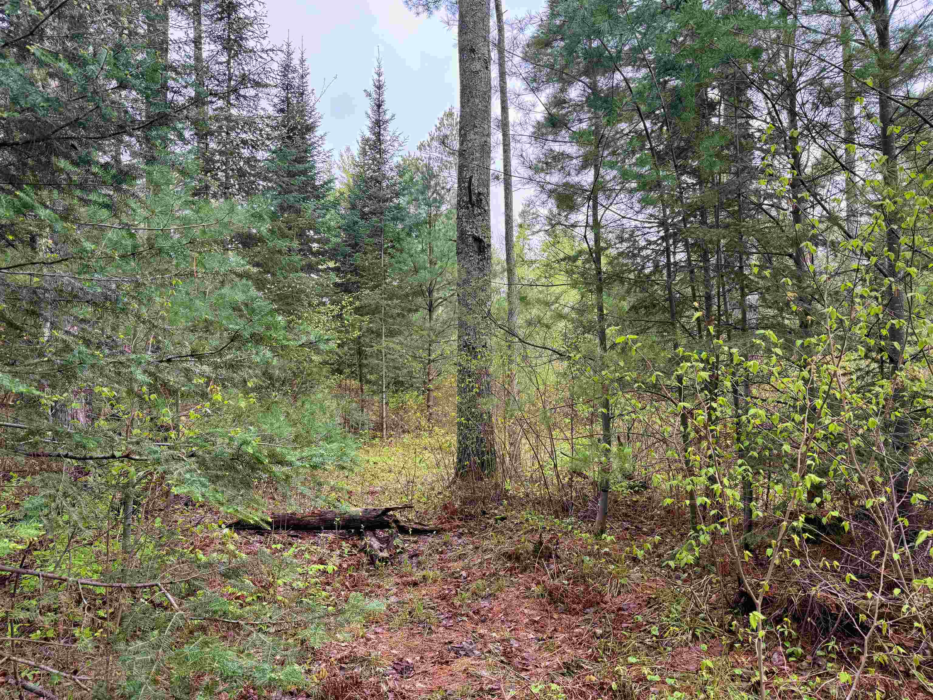 On Bearskull Road Property Photo 11