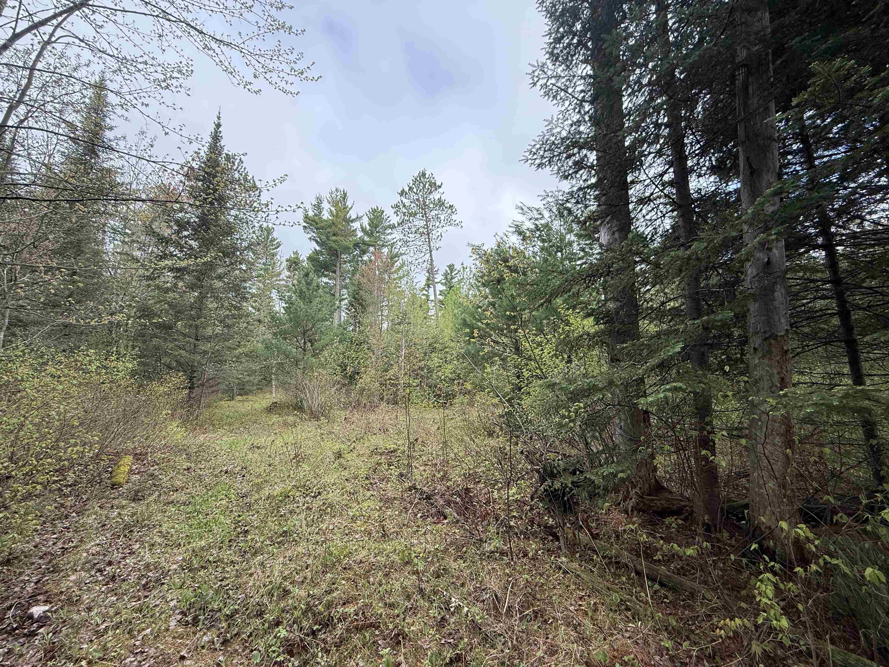 On Bearskull Road Property Photo 12