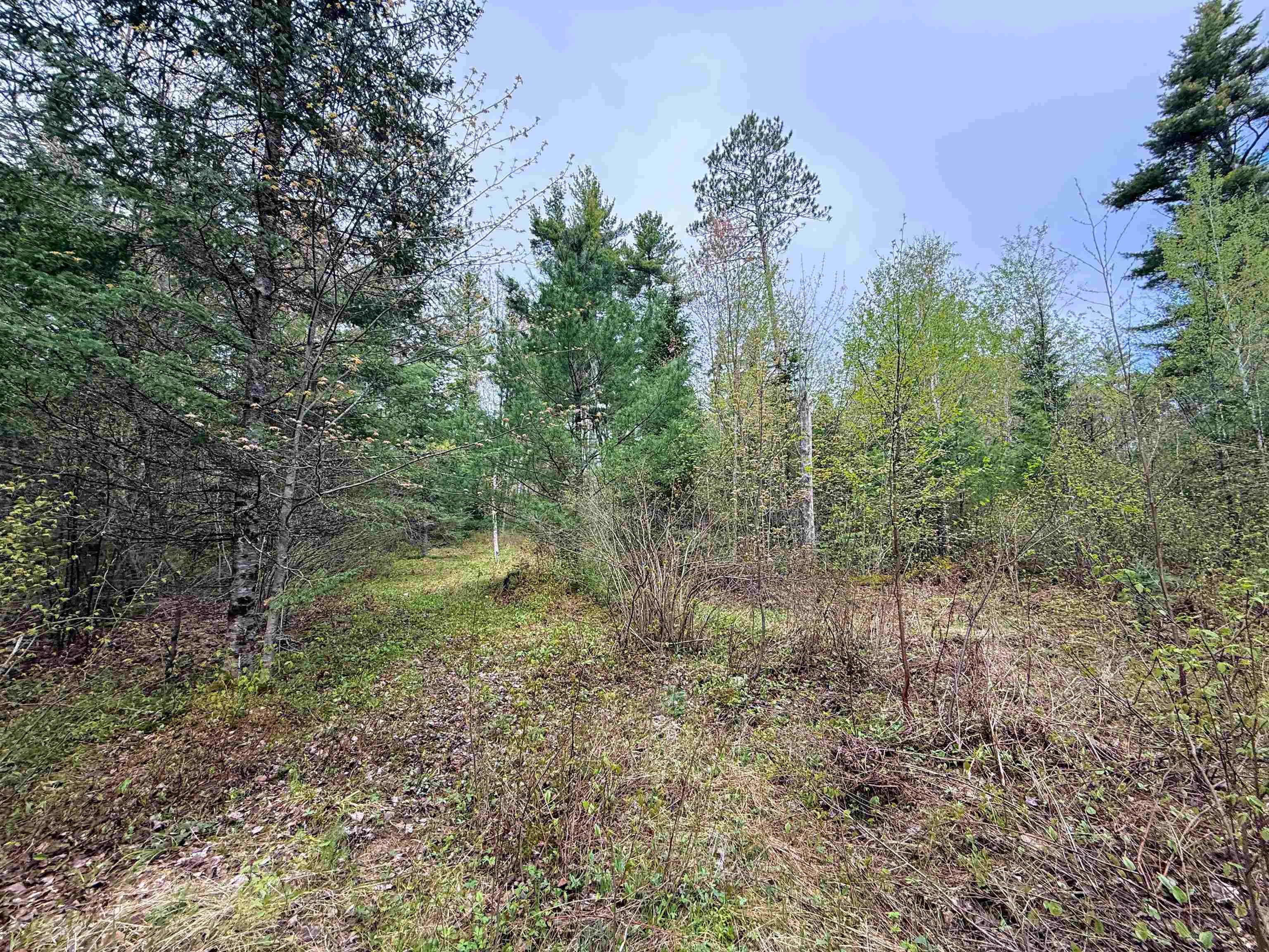 On Bearskull Road Property Photo 13