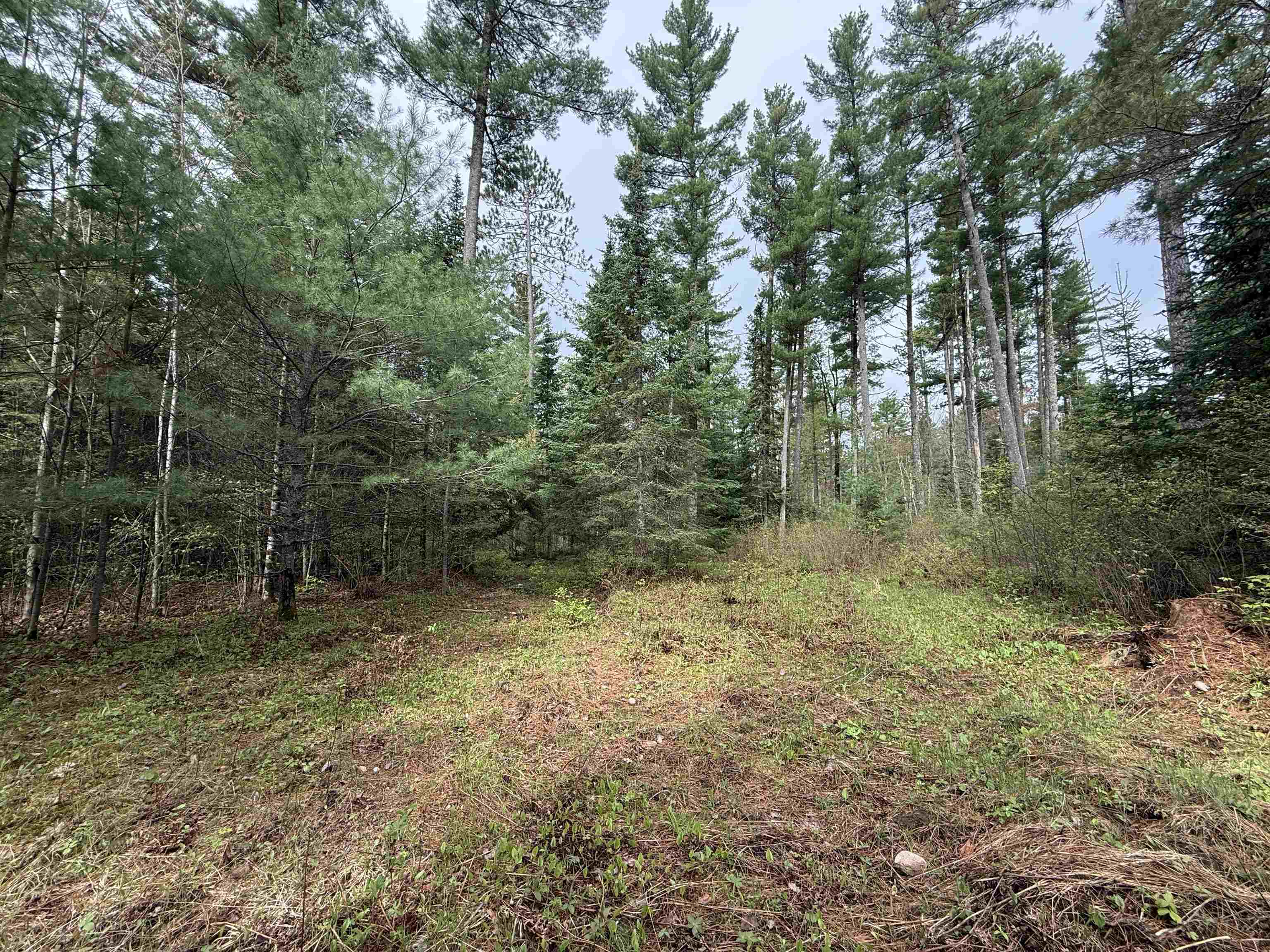 On Bearskull Road Property Photo 14