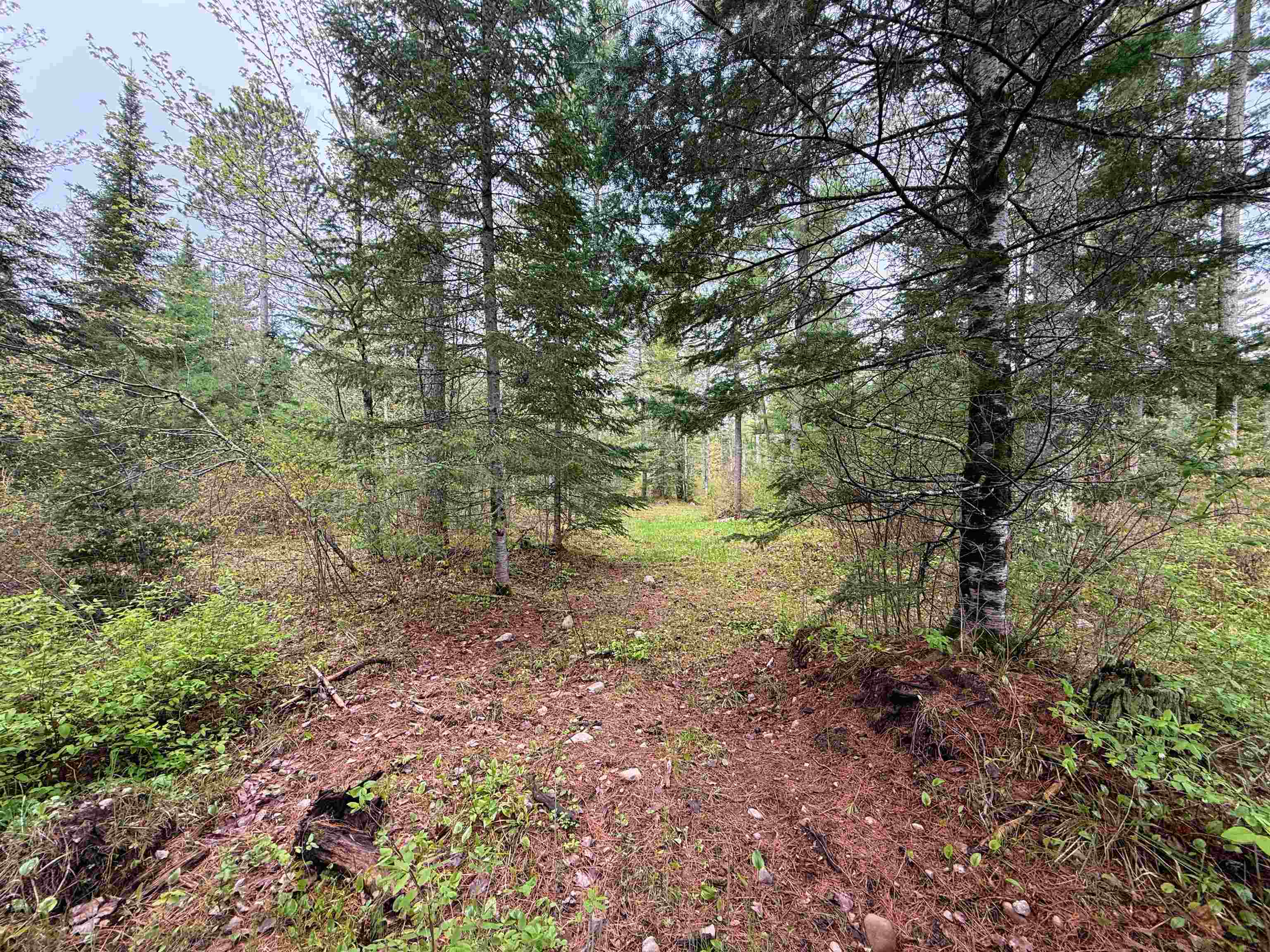 On Bearskull Road Property Photo 15