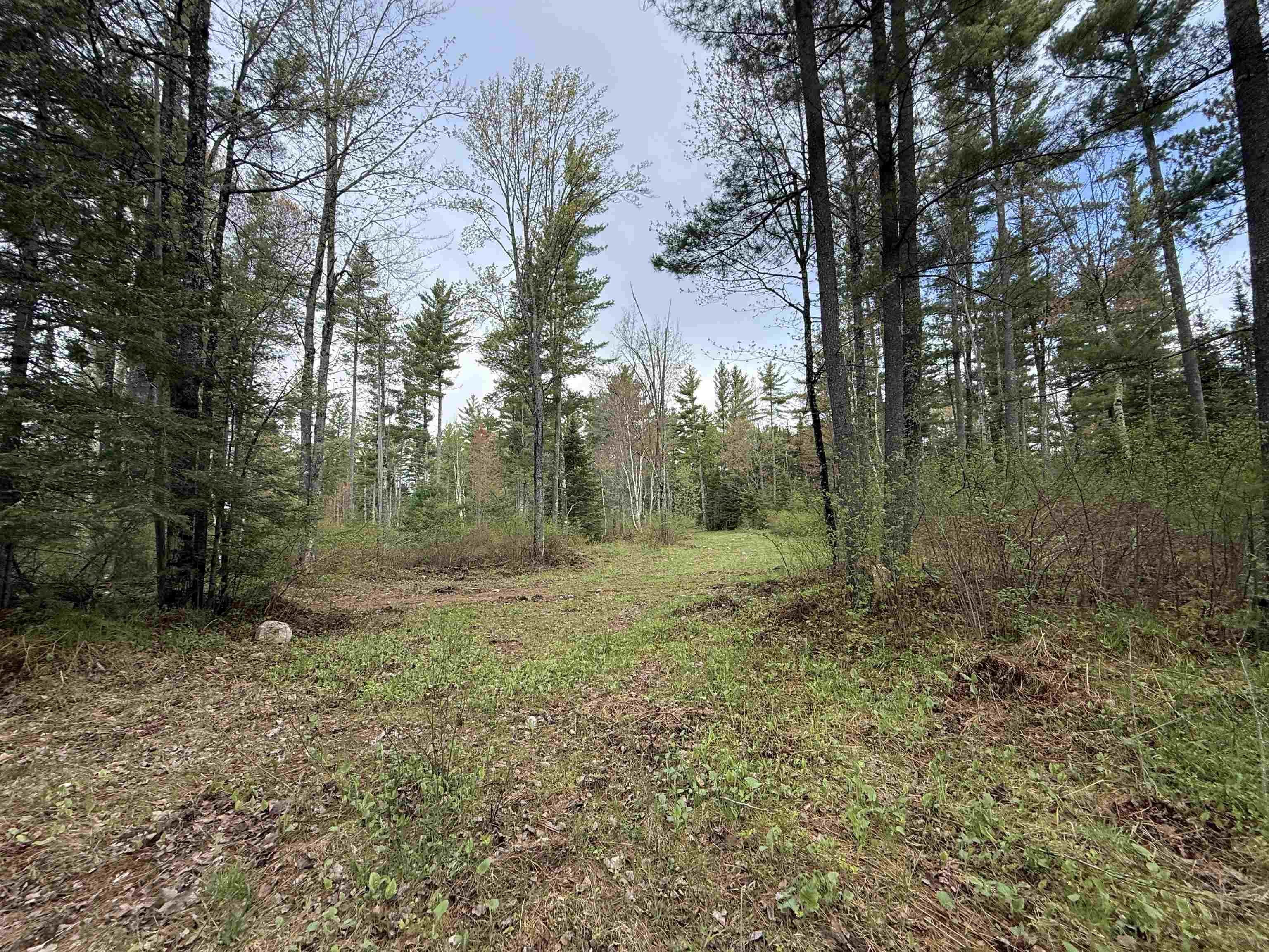 On Bearskull Road Property Photo 16