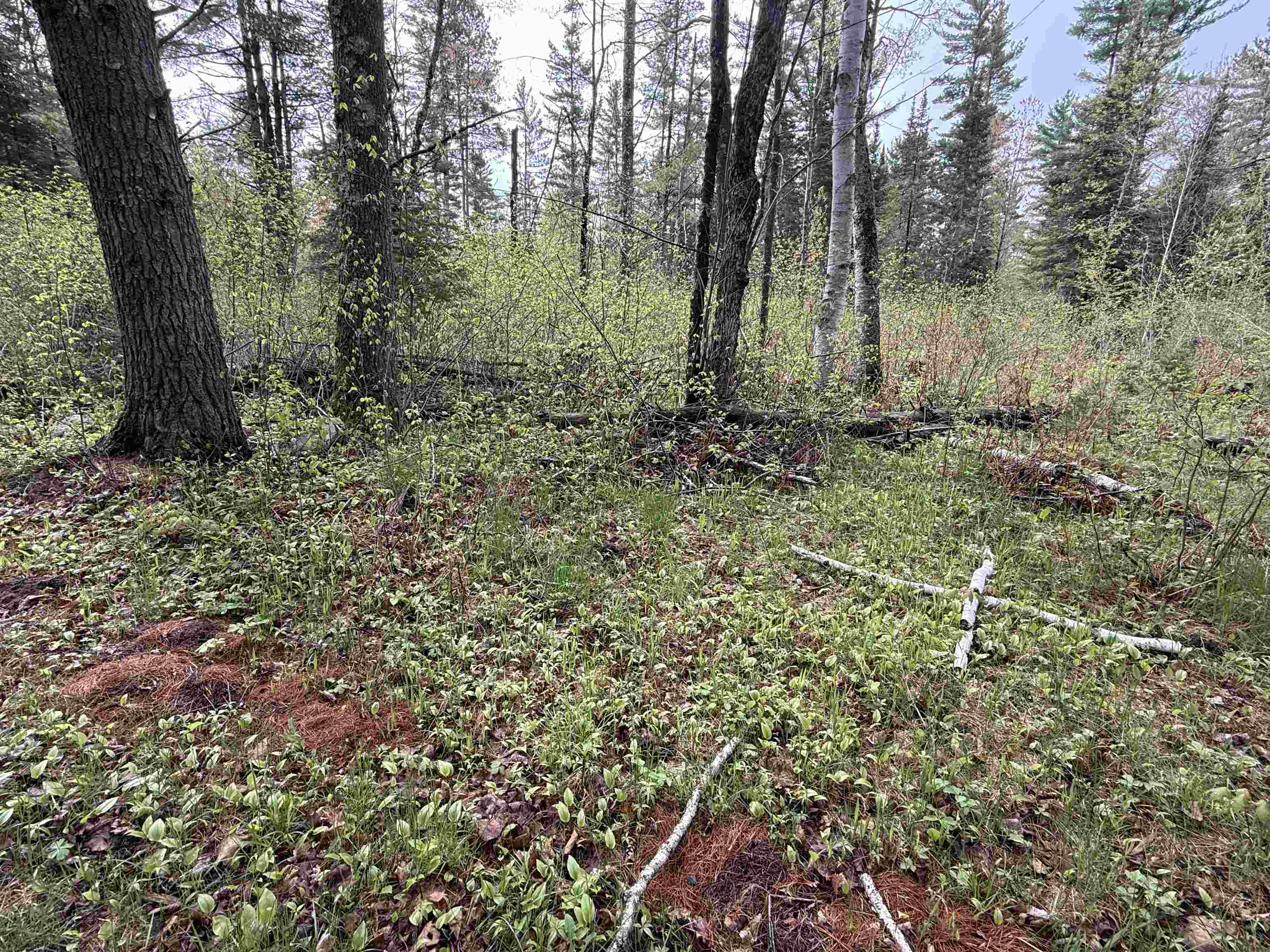 On Bearskull Road Property Photo 17