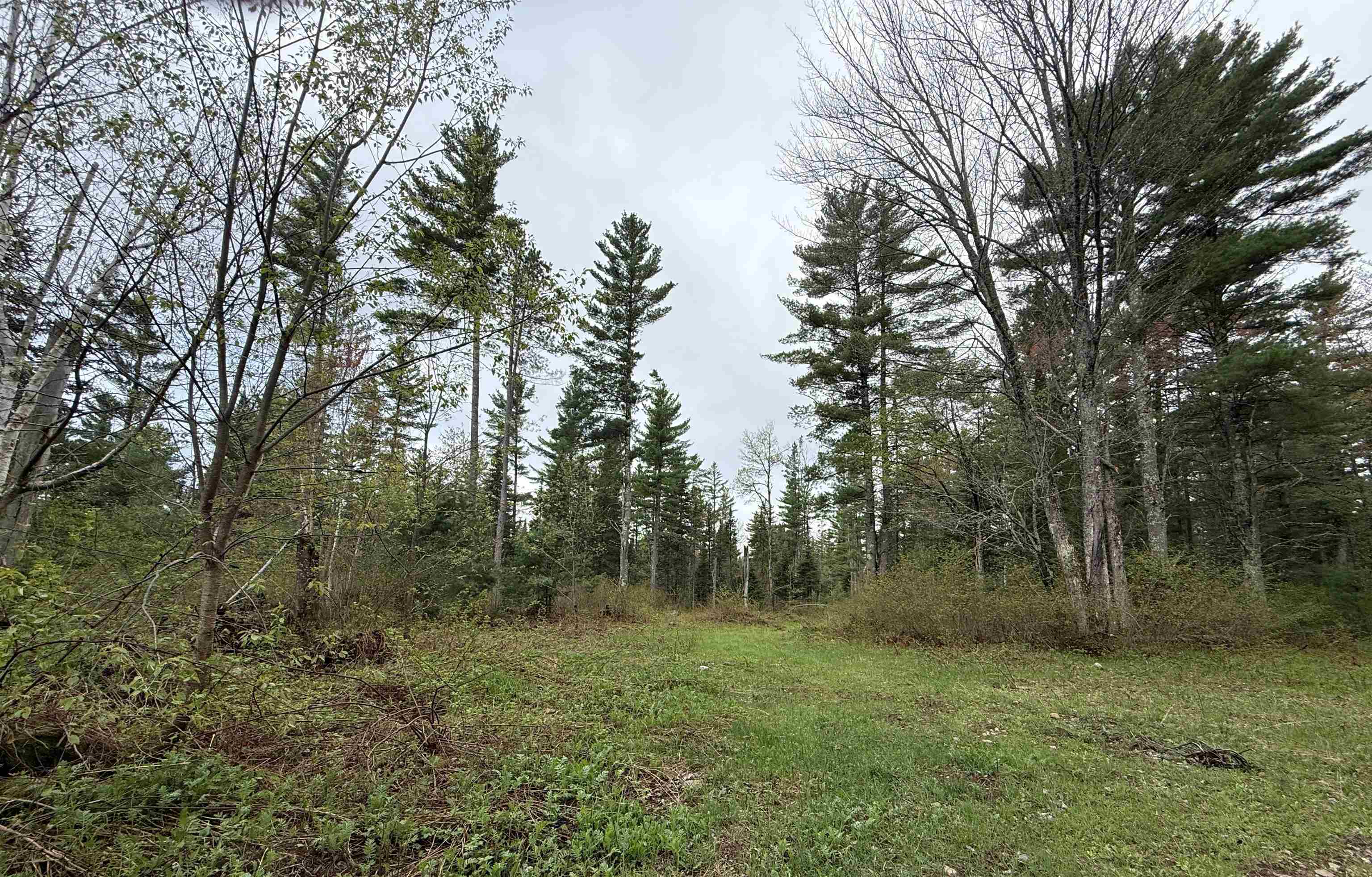 On Bearskull Road Property Photo 18