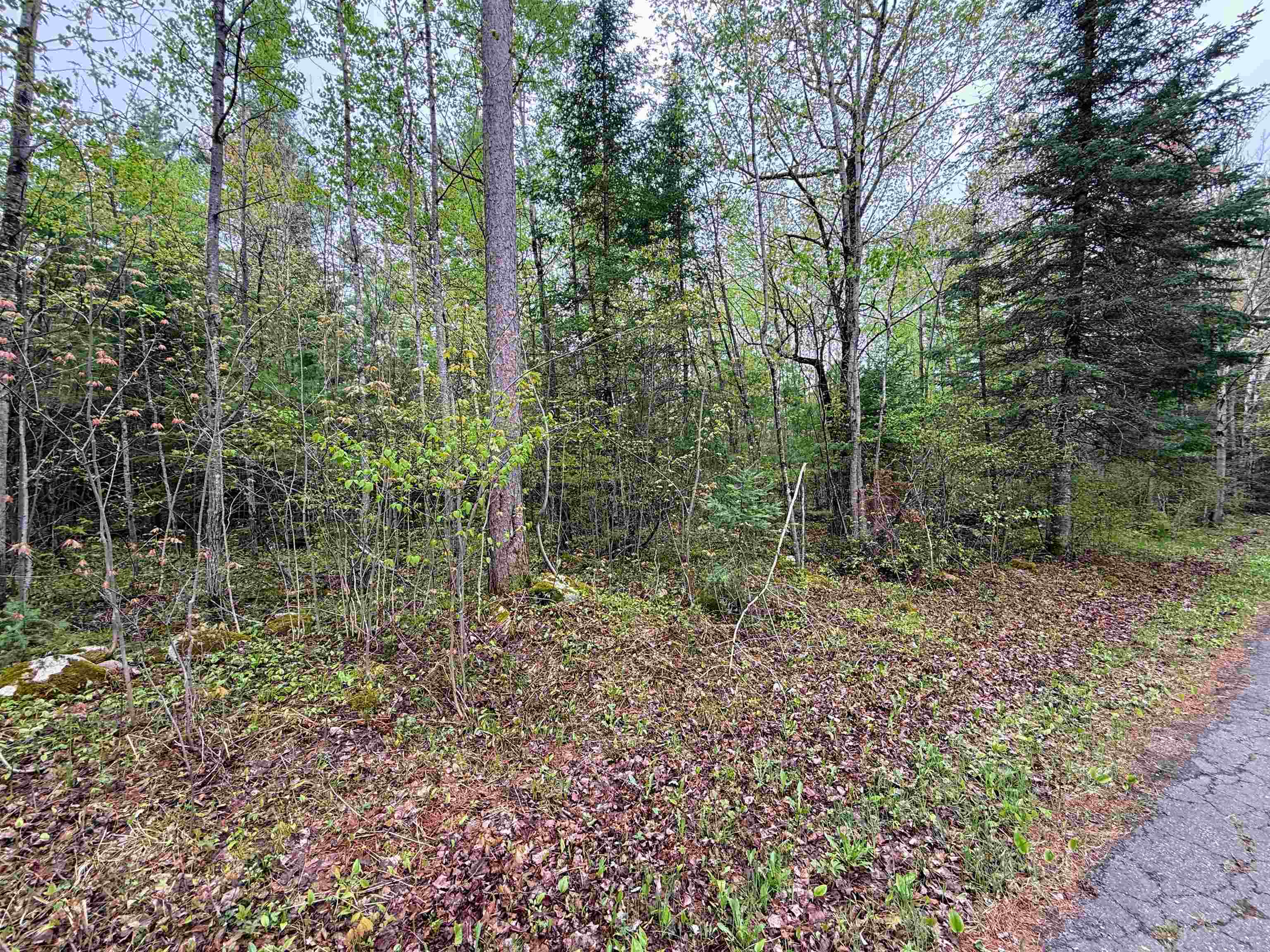 On Bearskull Road Property Photo 20