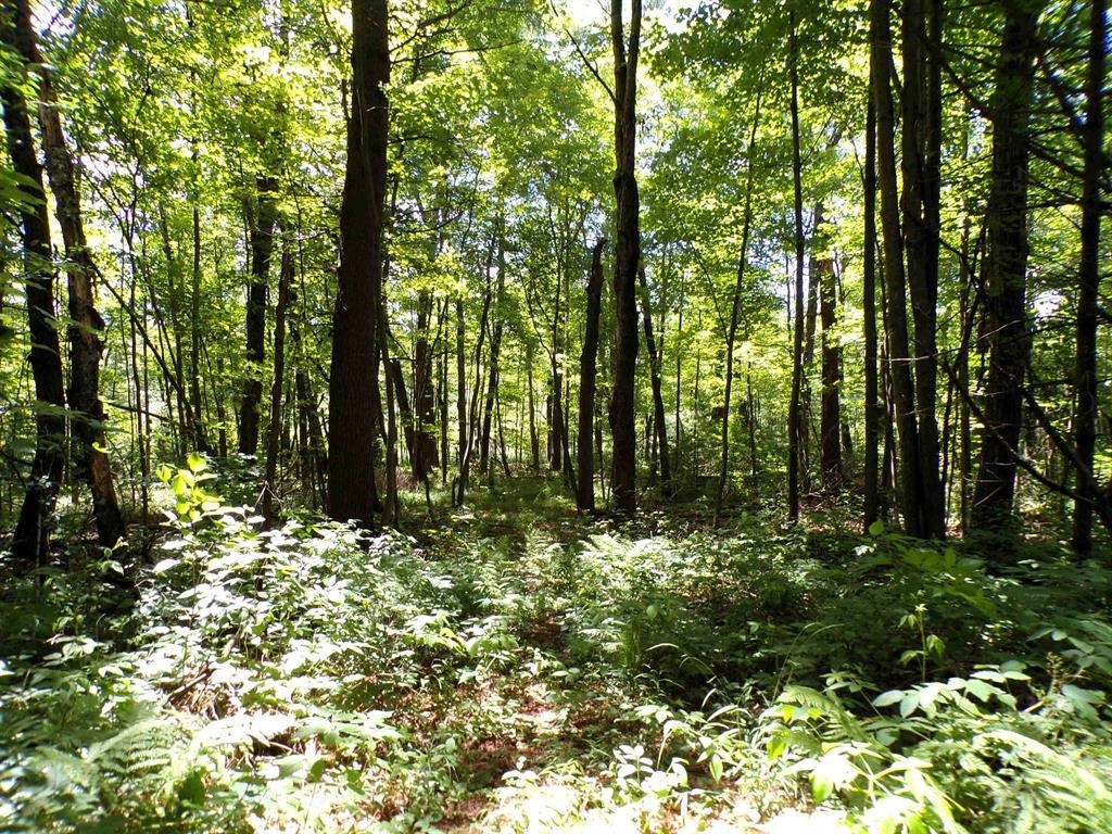 W11515 State Highway 95 Property Photo 15