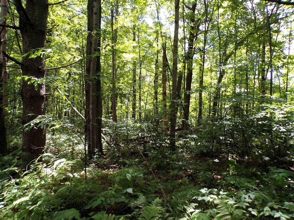 W11515 State Highway 95 Property Photo 16