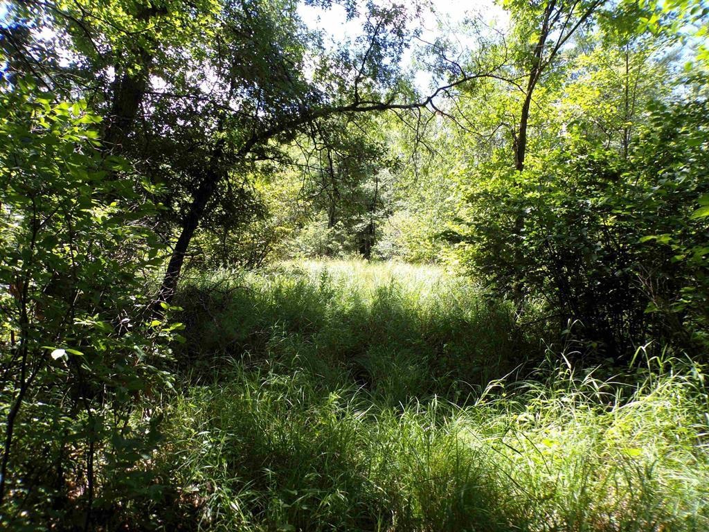 W11515 State Highway 95 Property Photo 18