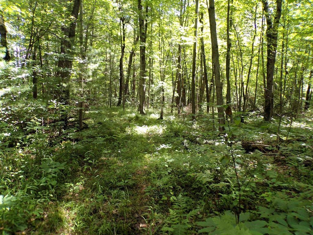 W11515 State Highway 95 Property Photo 19