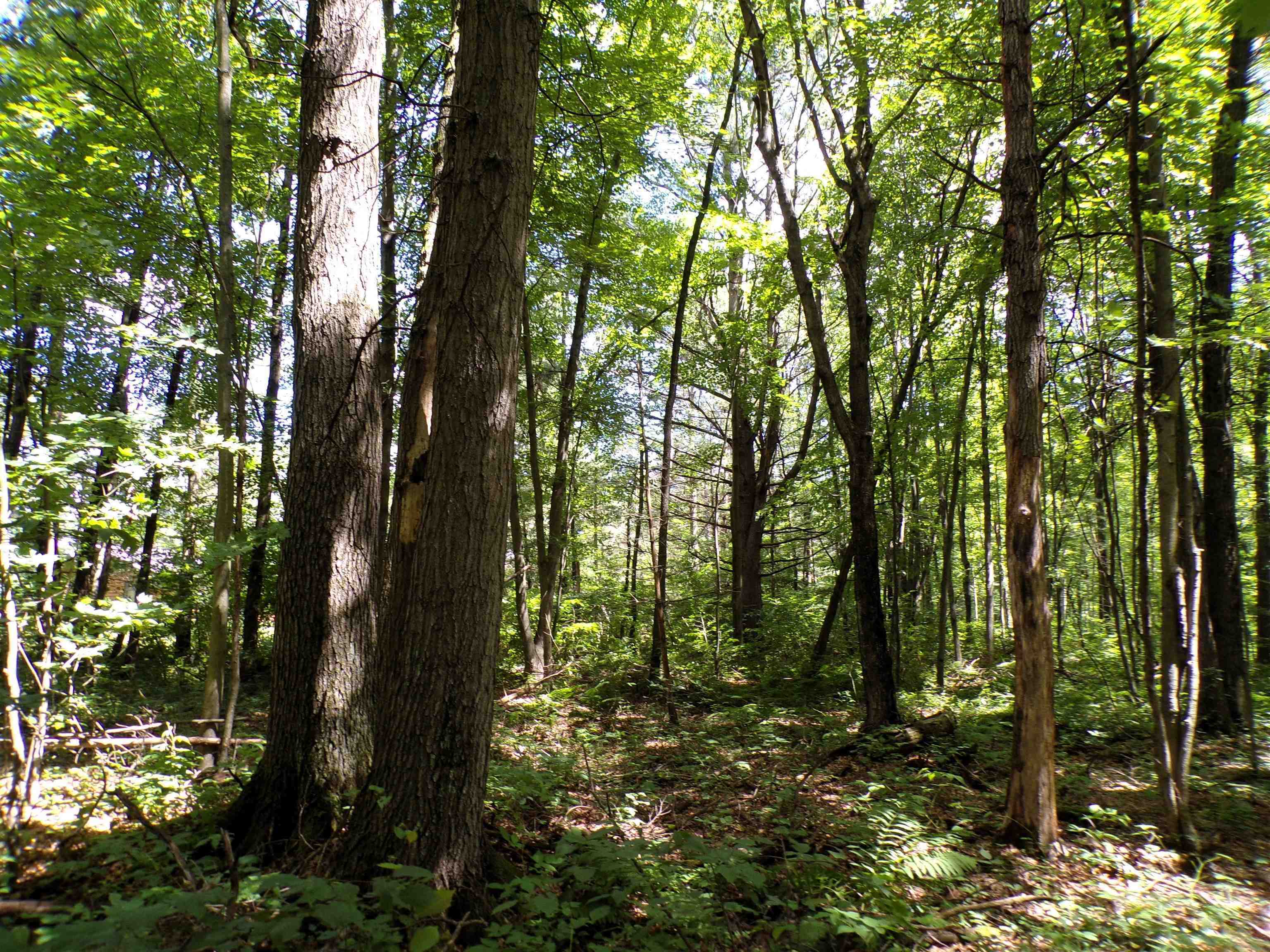 W11515 State Highway 95 Property Photo 20