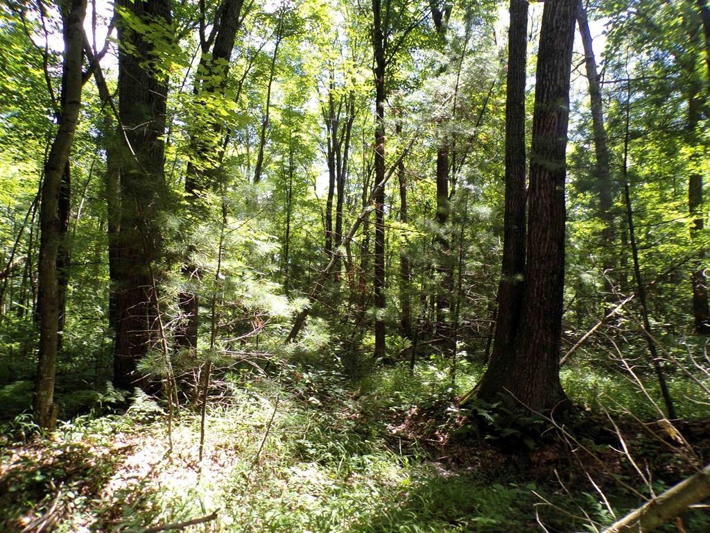 W11515 State Highway 95 Property Photo 21